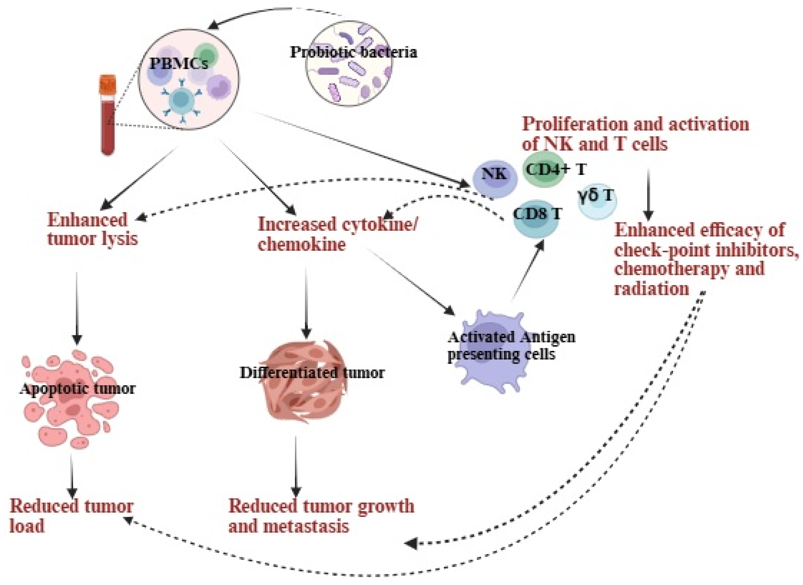Microorganisms 13 02687 g001