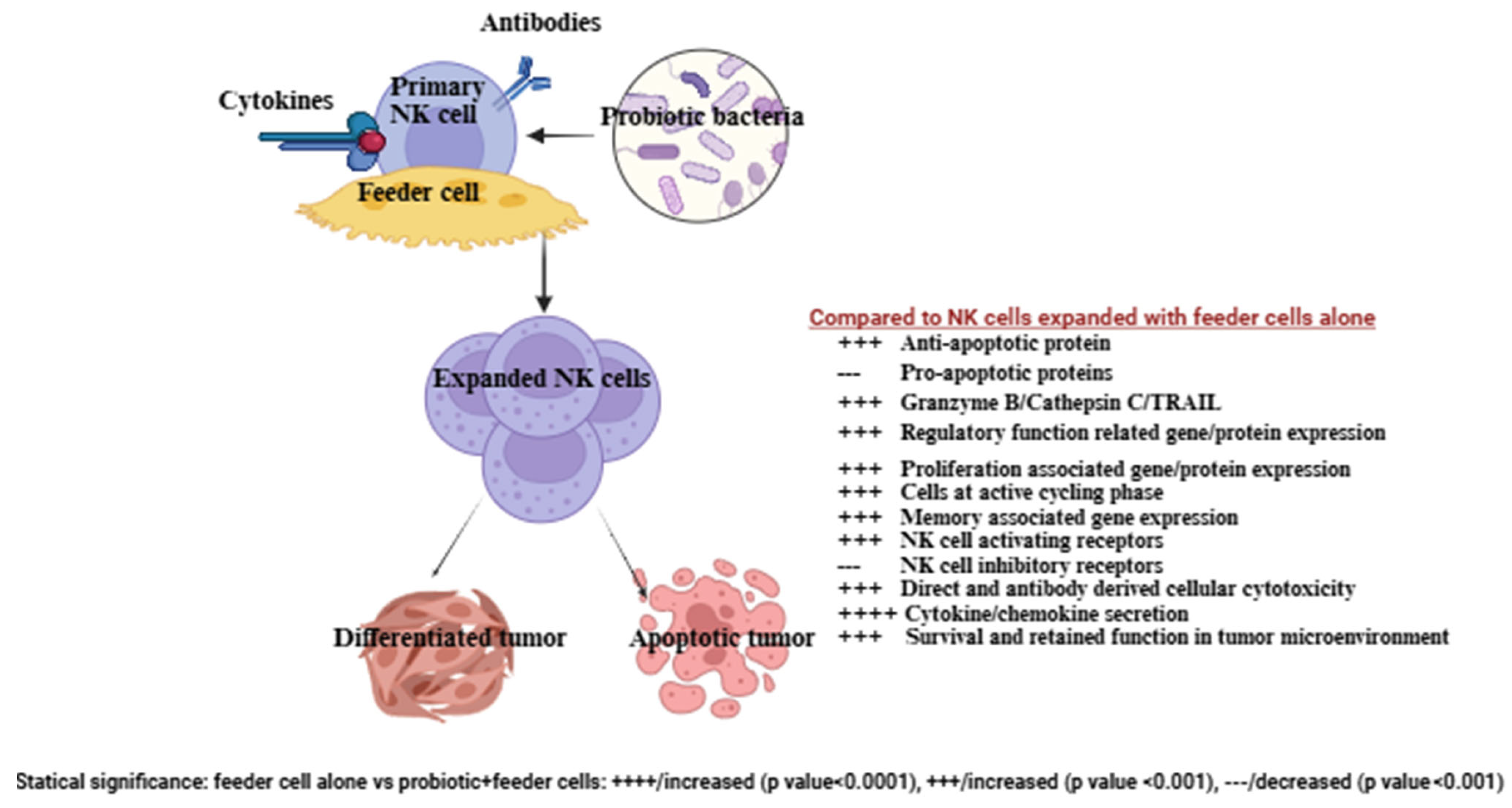 Microorganisms 13 02687 g002