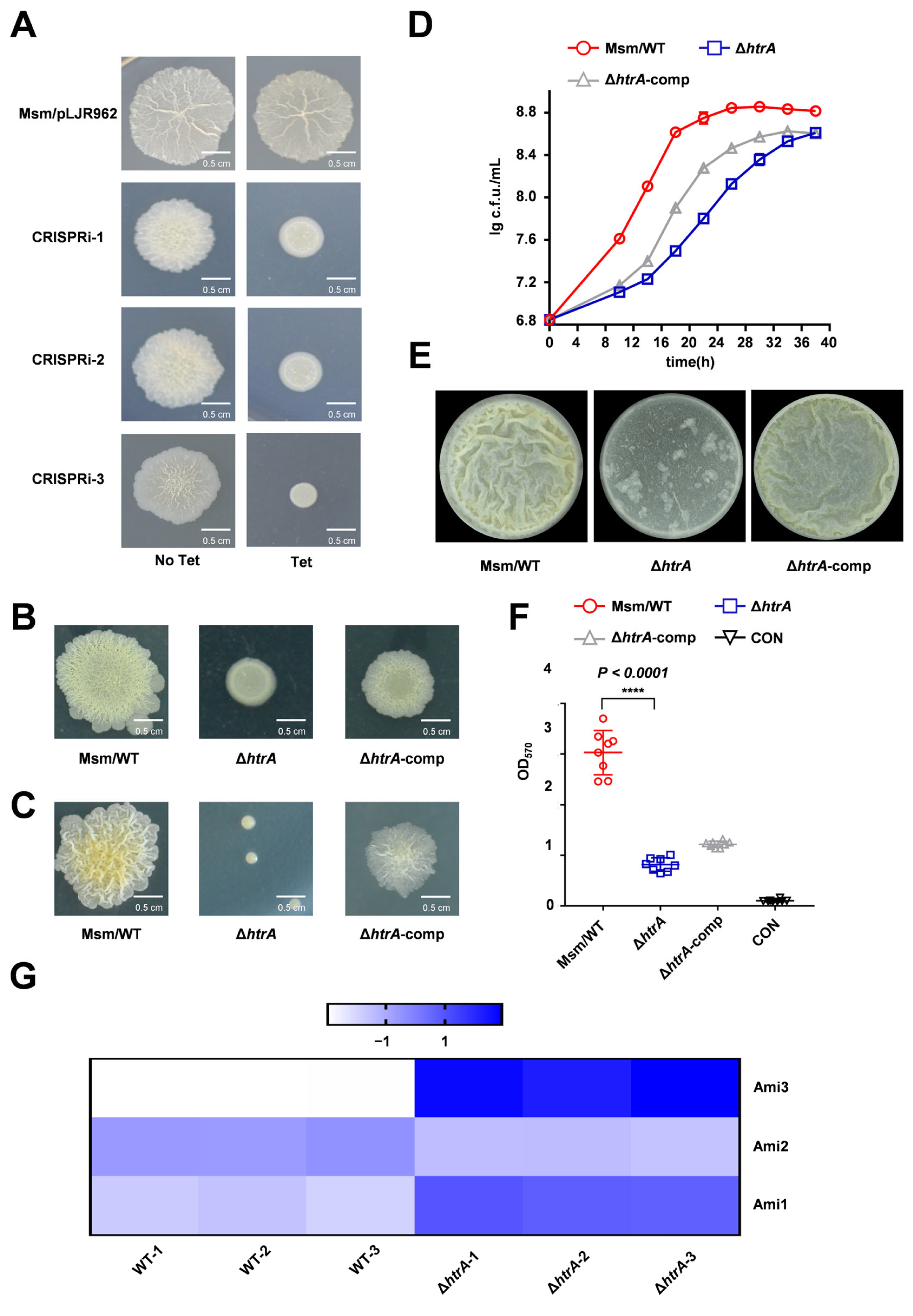 Microorganisms 13 02688 g001