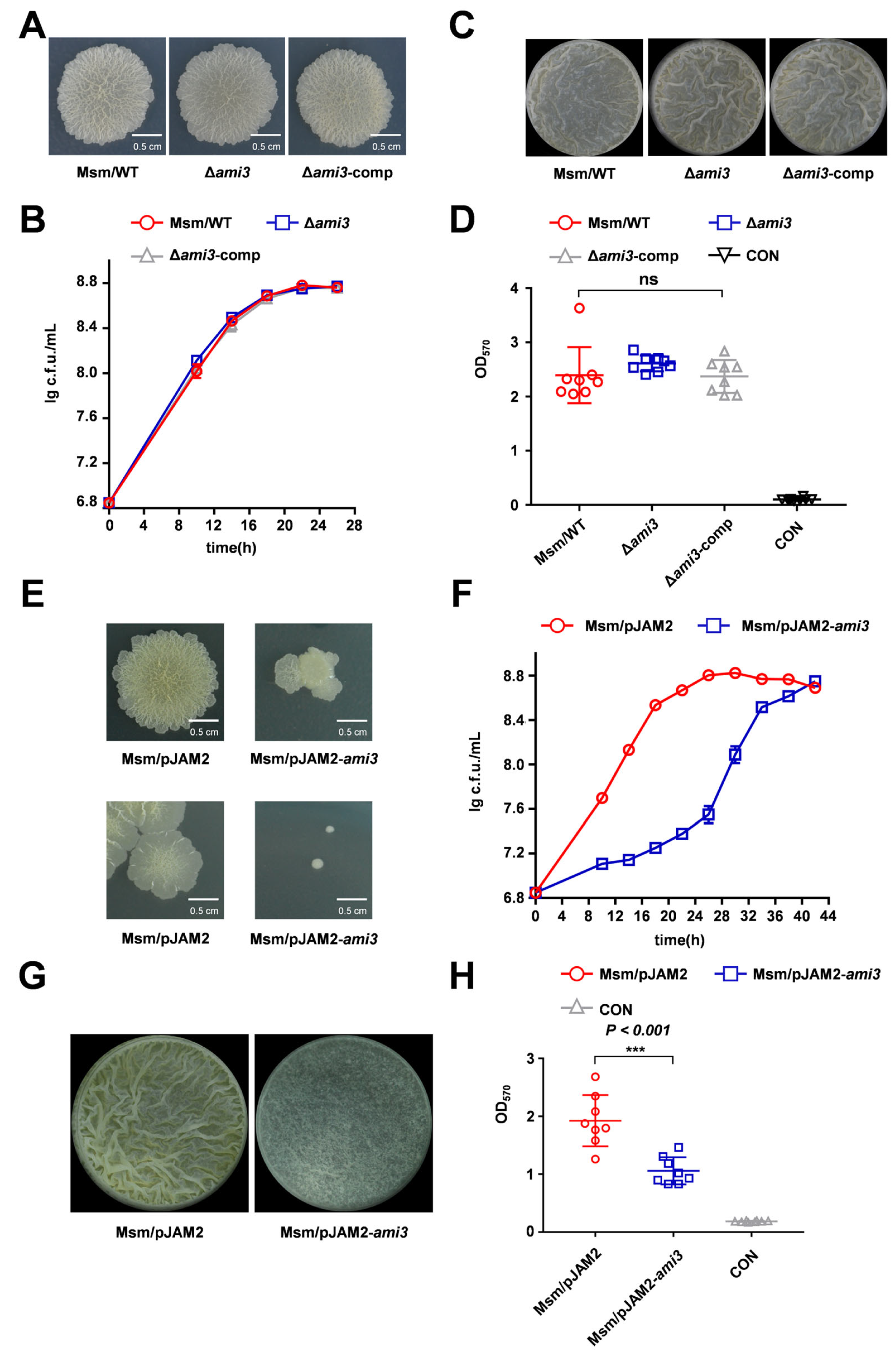 Microorganisms 13 02688 g002