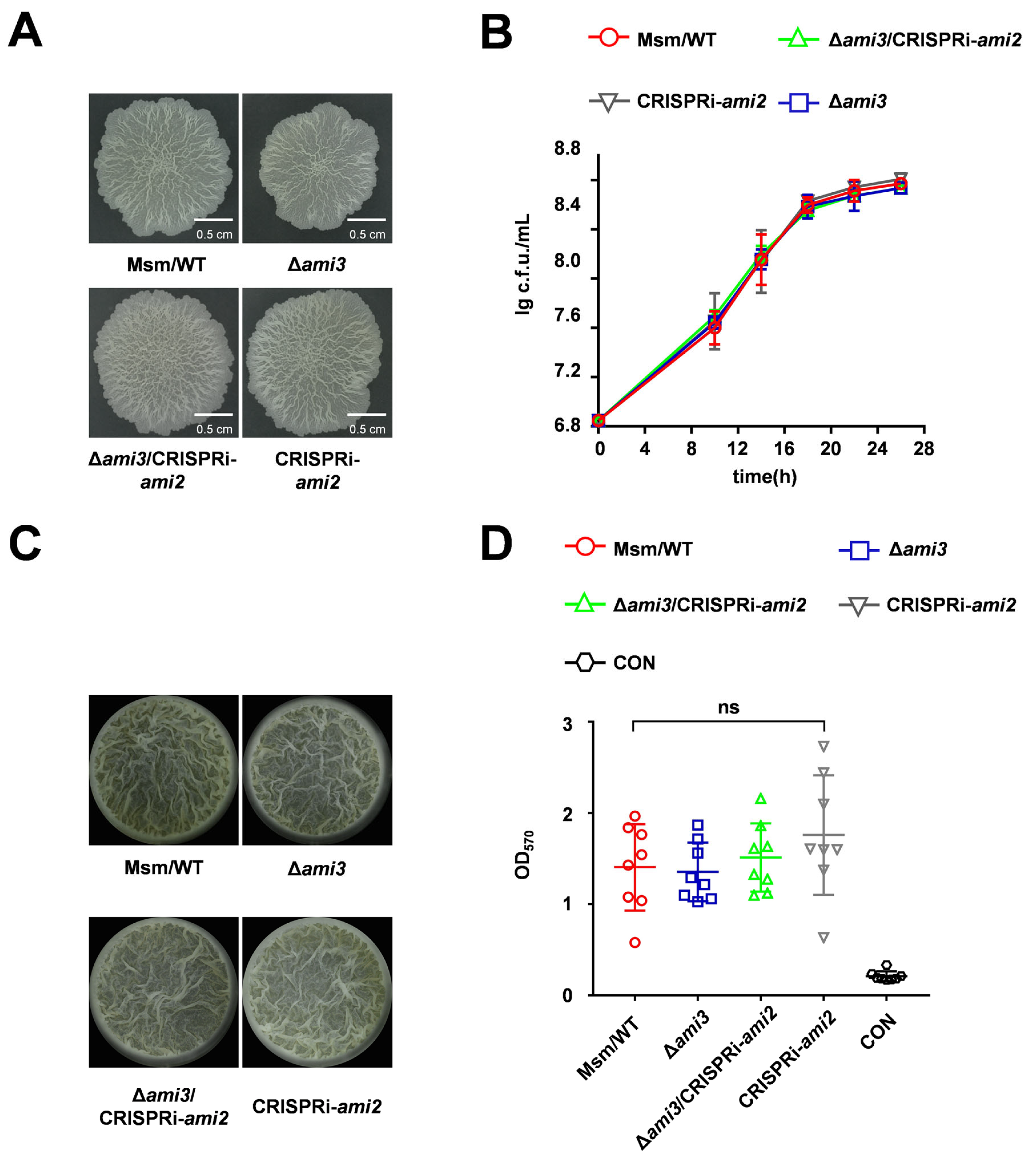 Microorganisms 13 02688 g004