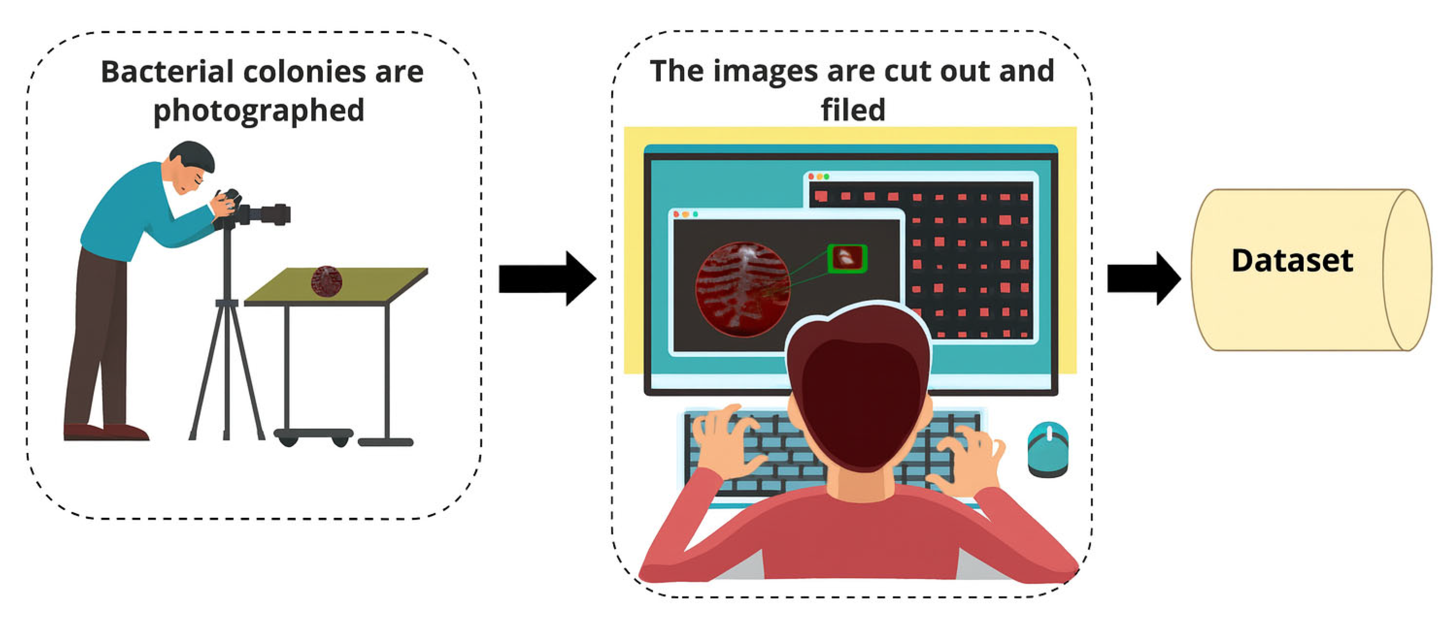 Microorganisms 13 02689 g001 Microorganisms 13 02689 g001