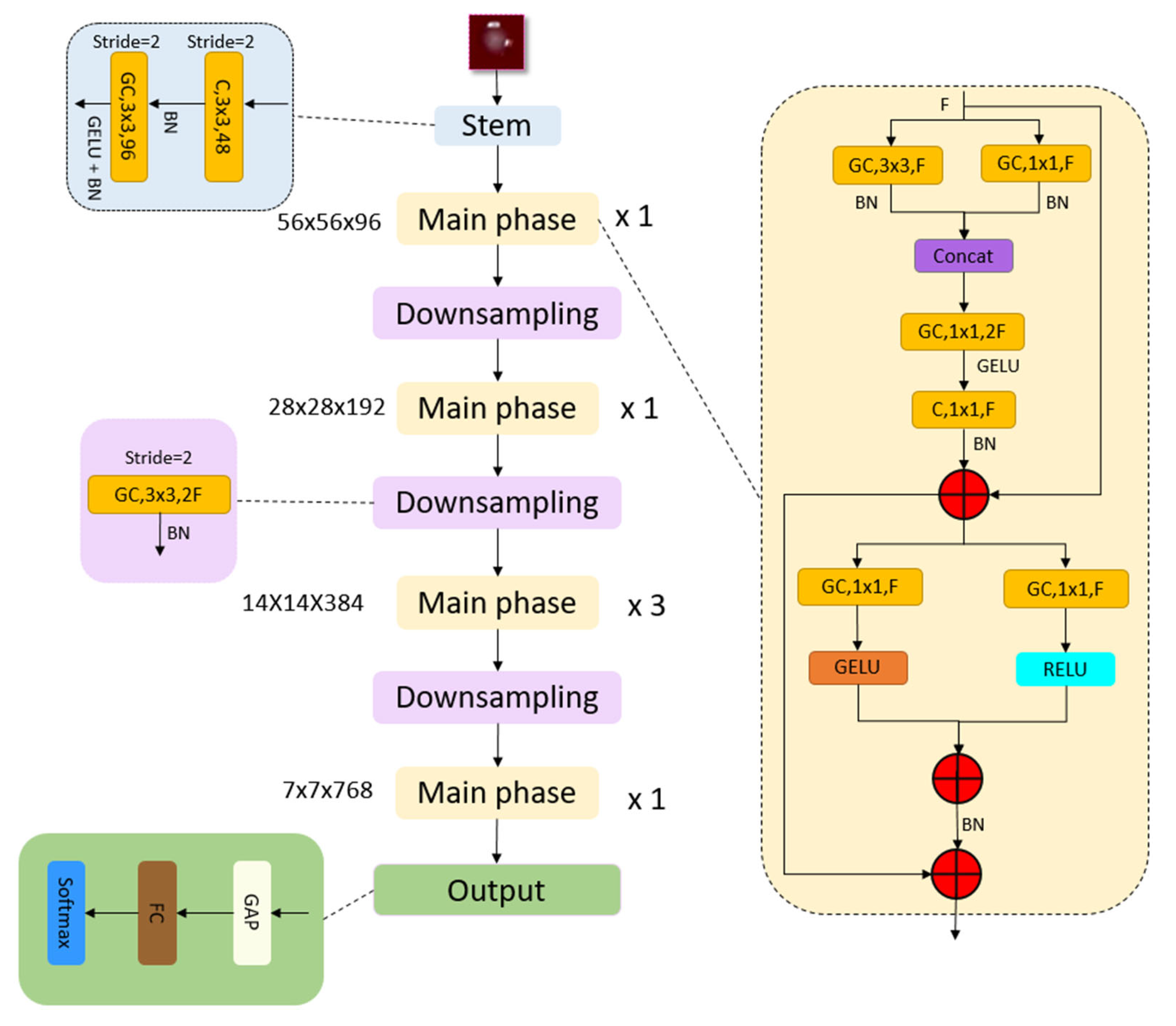 Microorganisms 13 02689 g002 Microorganisms 13 02689 g002