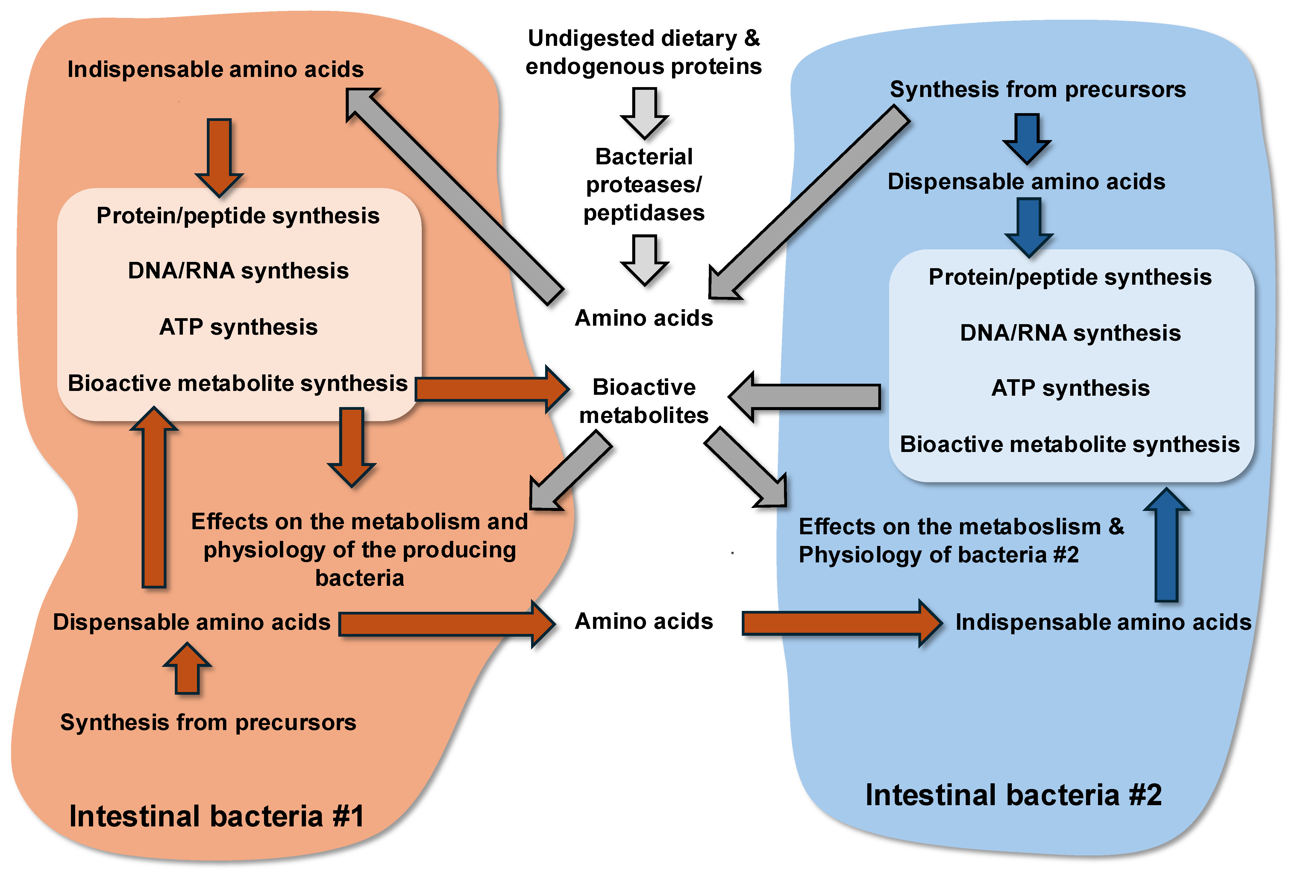 Microorganisms 13 02690 g001