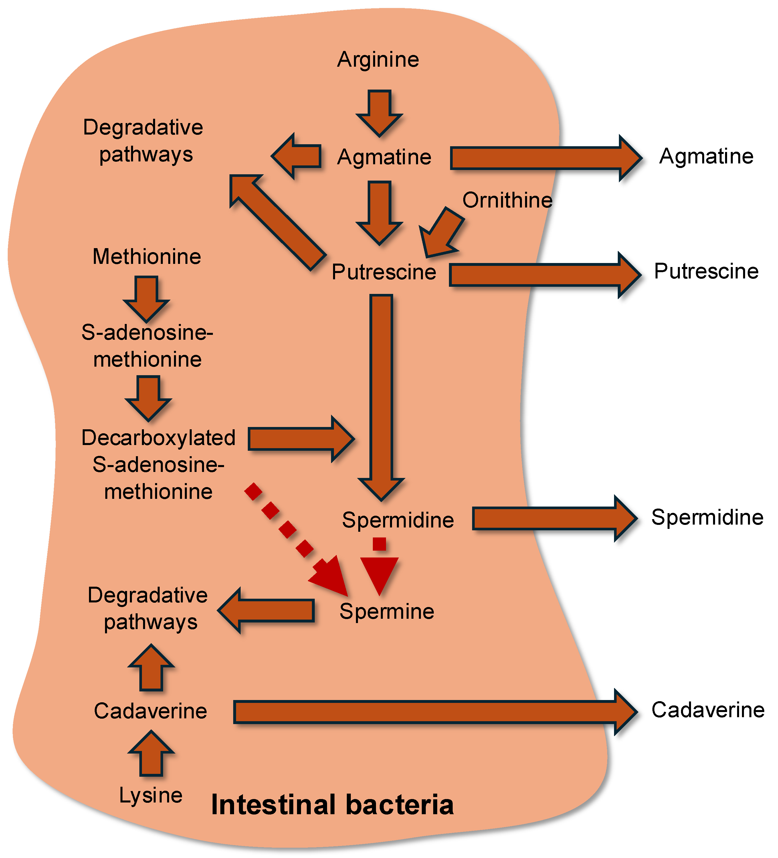 Microorganisms 13 02690 g002