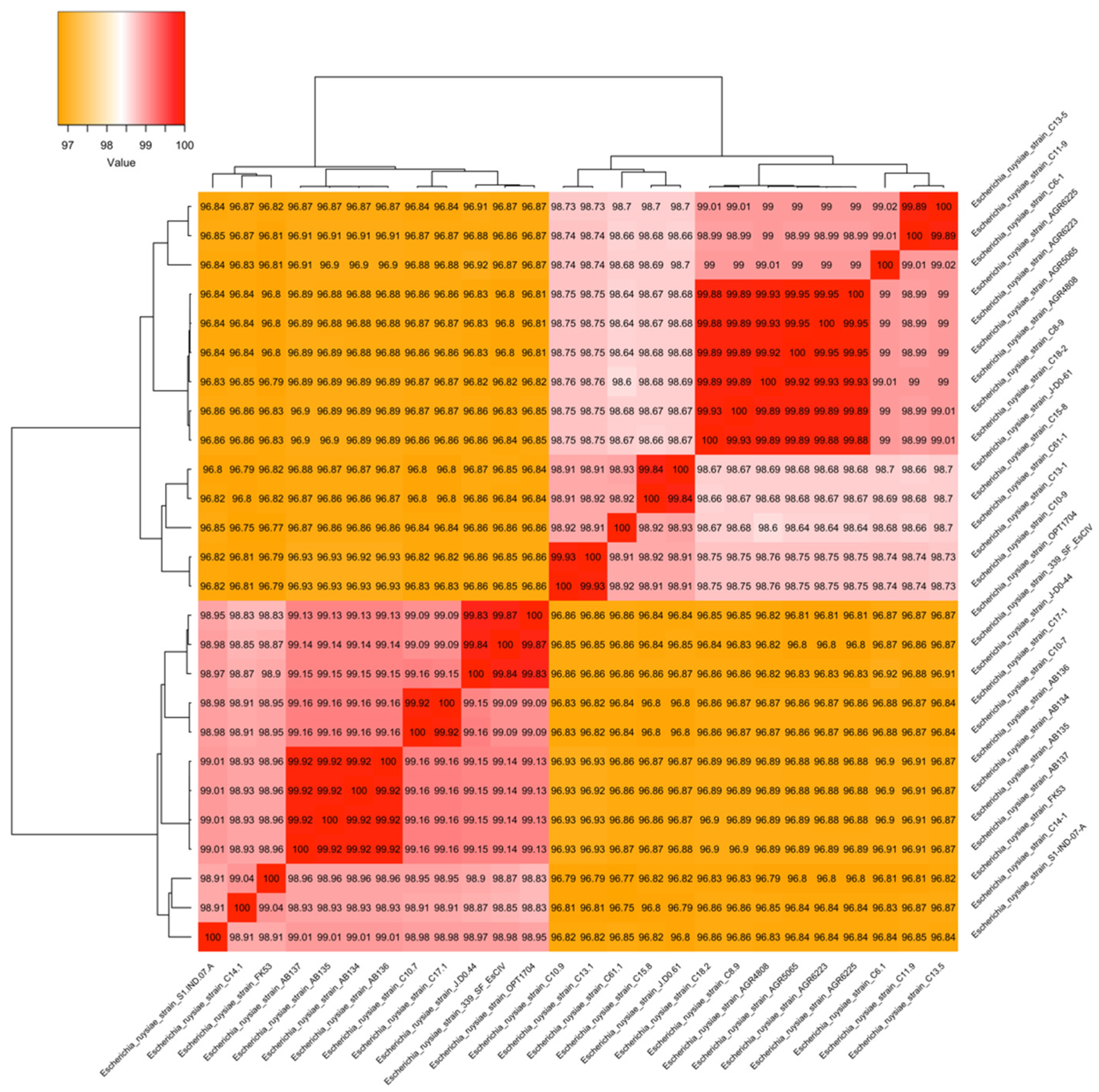 Microorganisms 13 02694 g001 Microorganisms 13 02694 g001