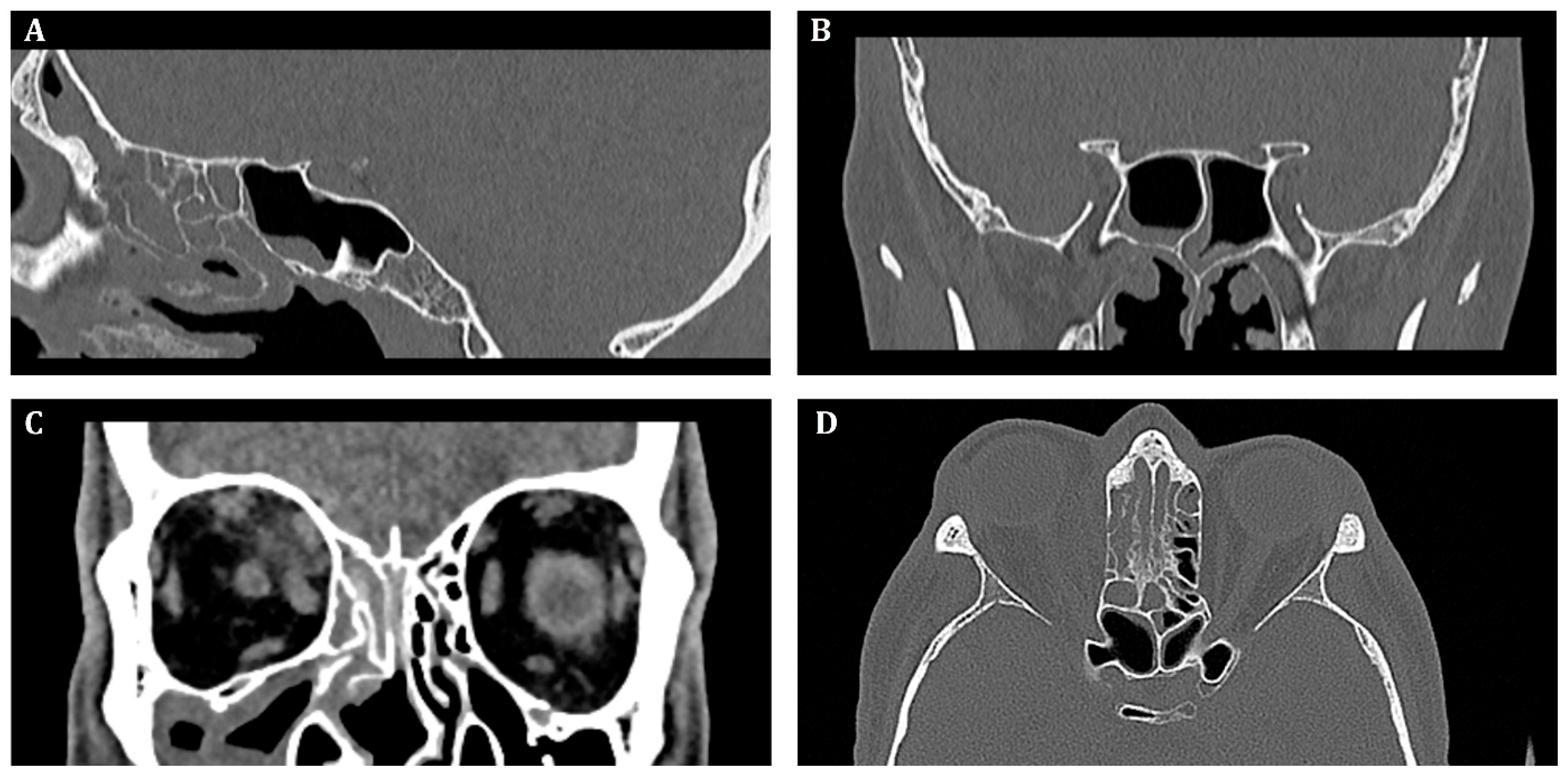 Microorganisms 13 02695 g002