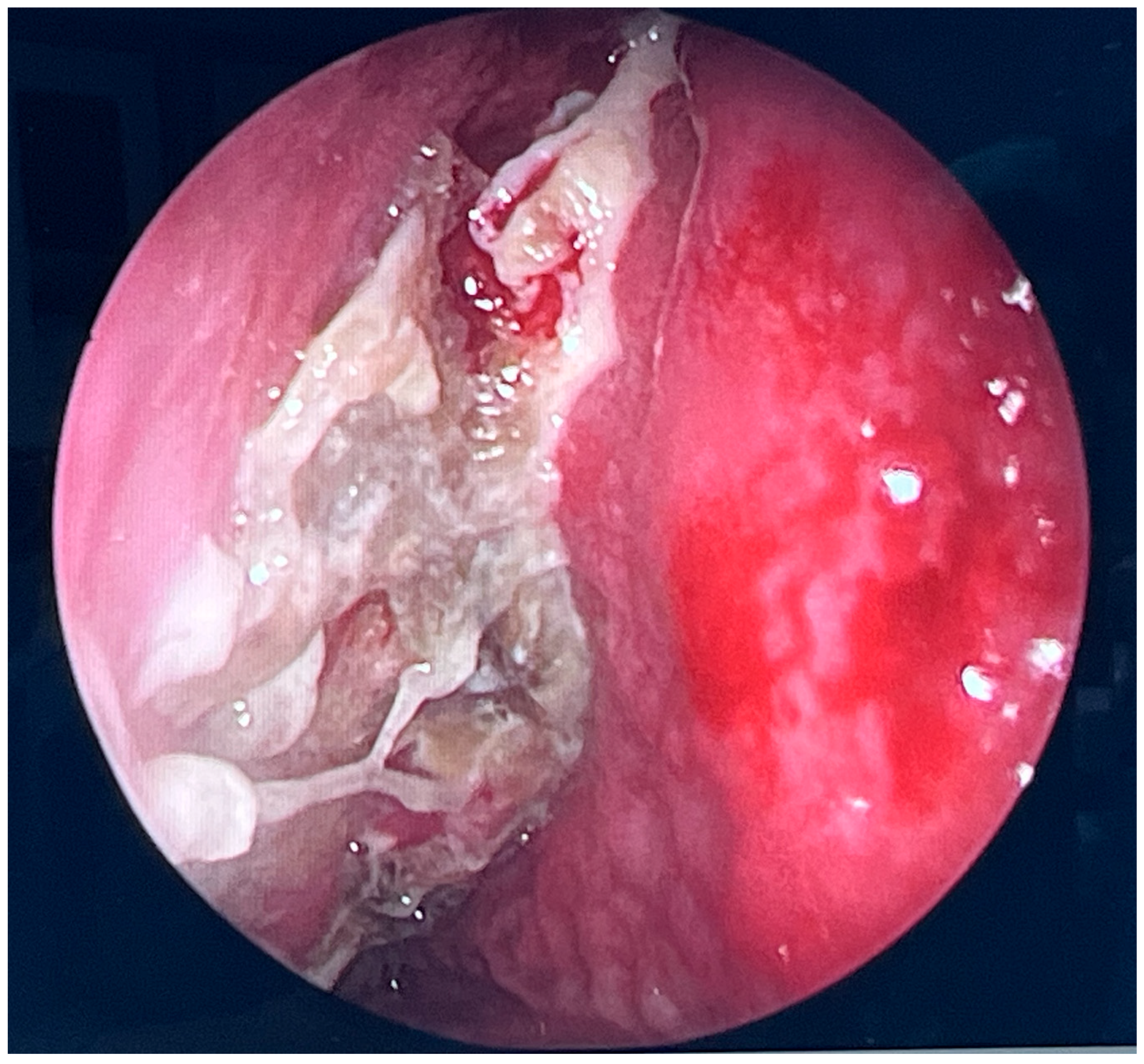 Microorganisms 13 02695 g003