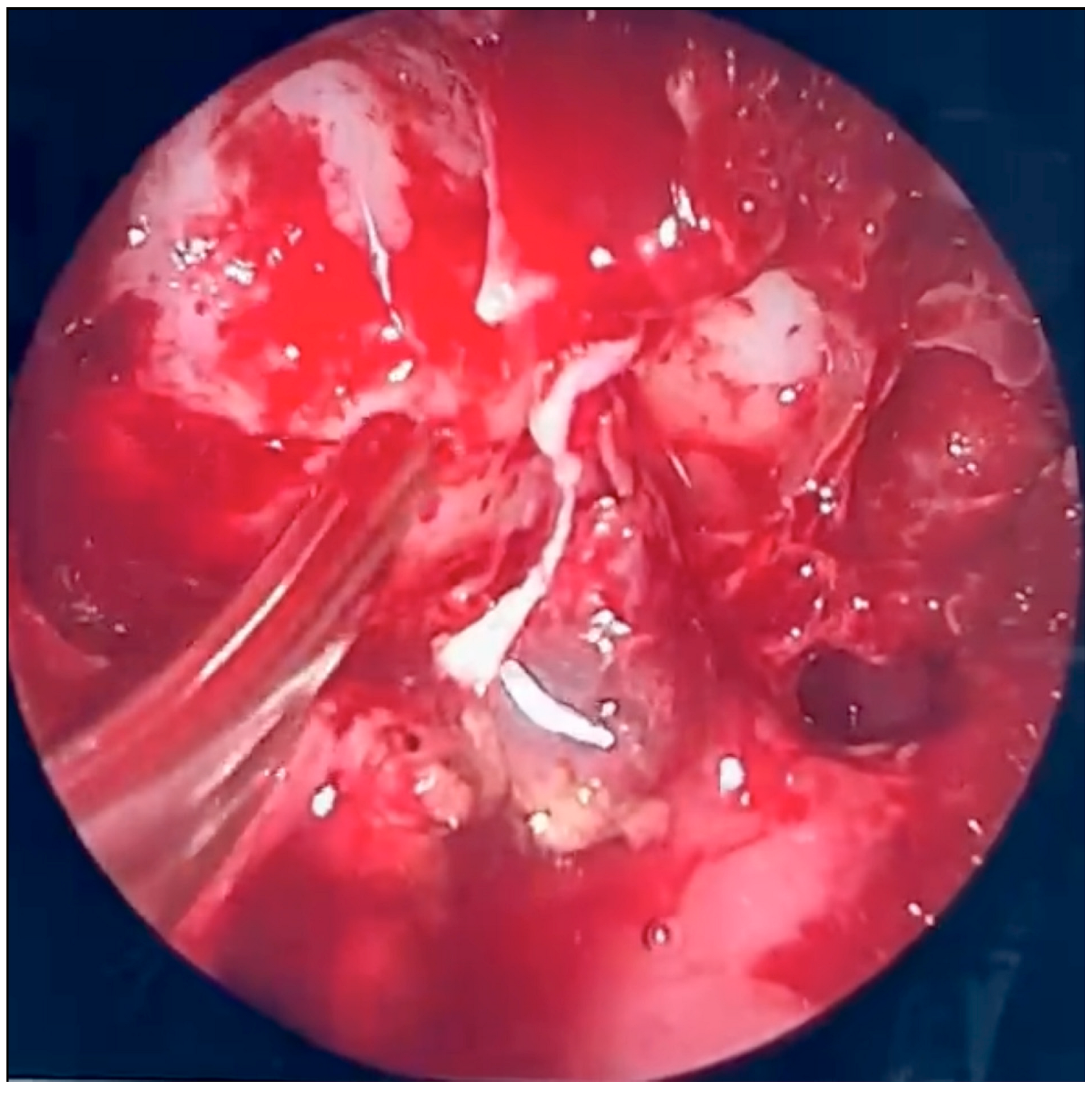 Microorganisms 13 02695 g005