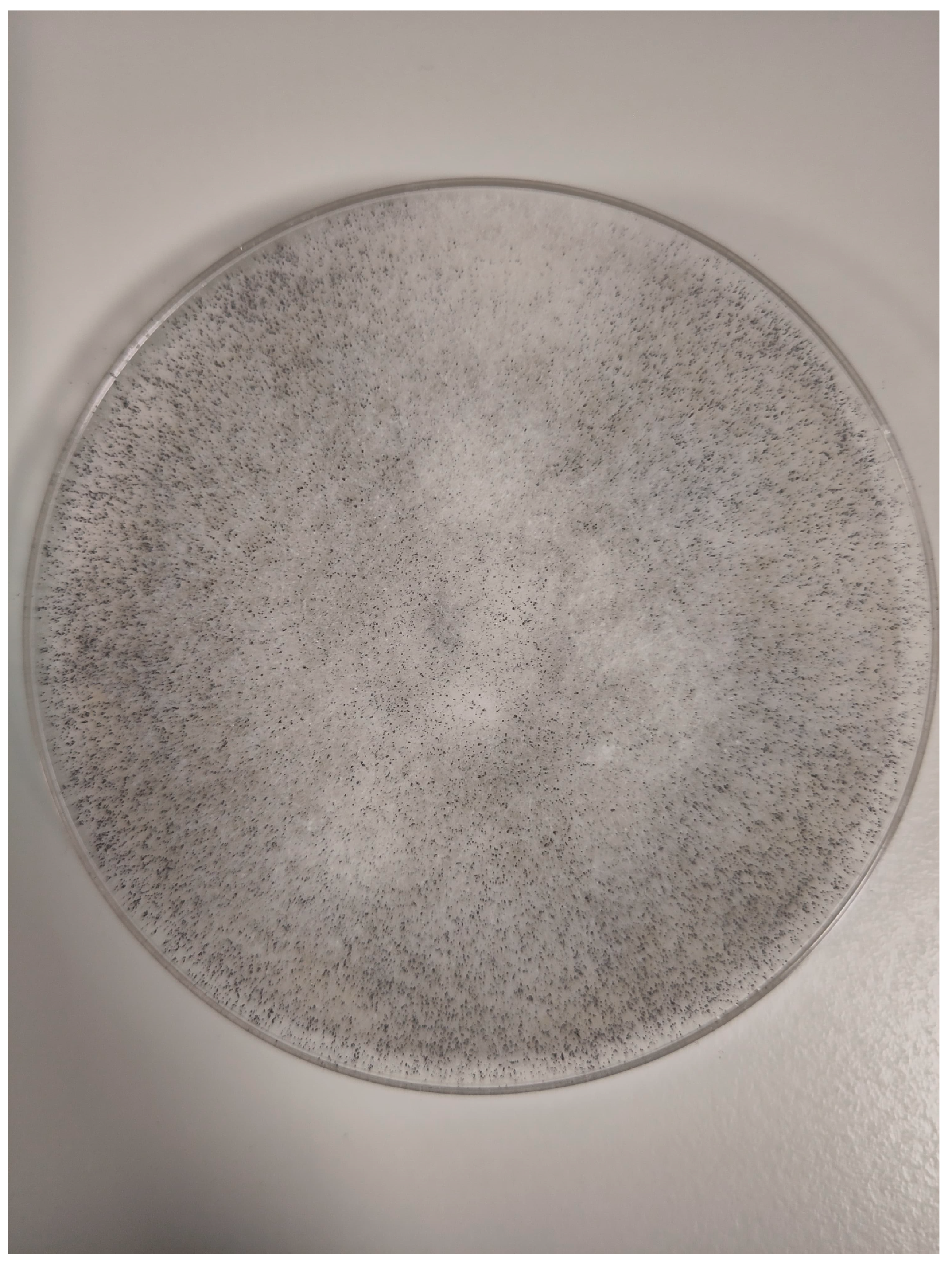 Microorganisms 13 02695 g006