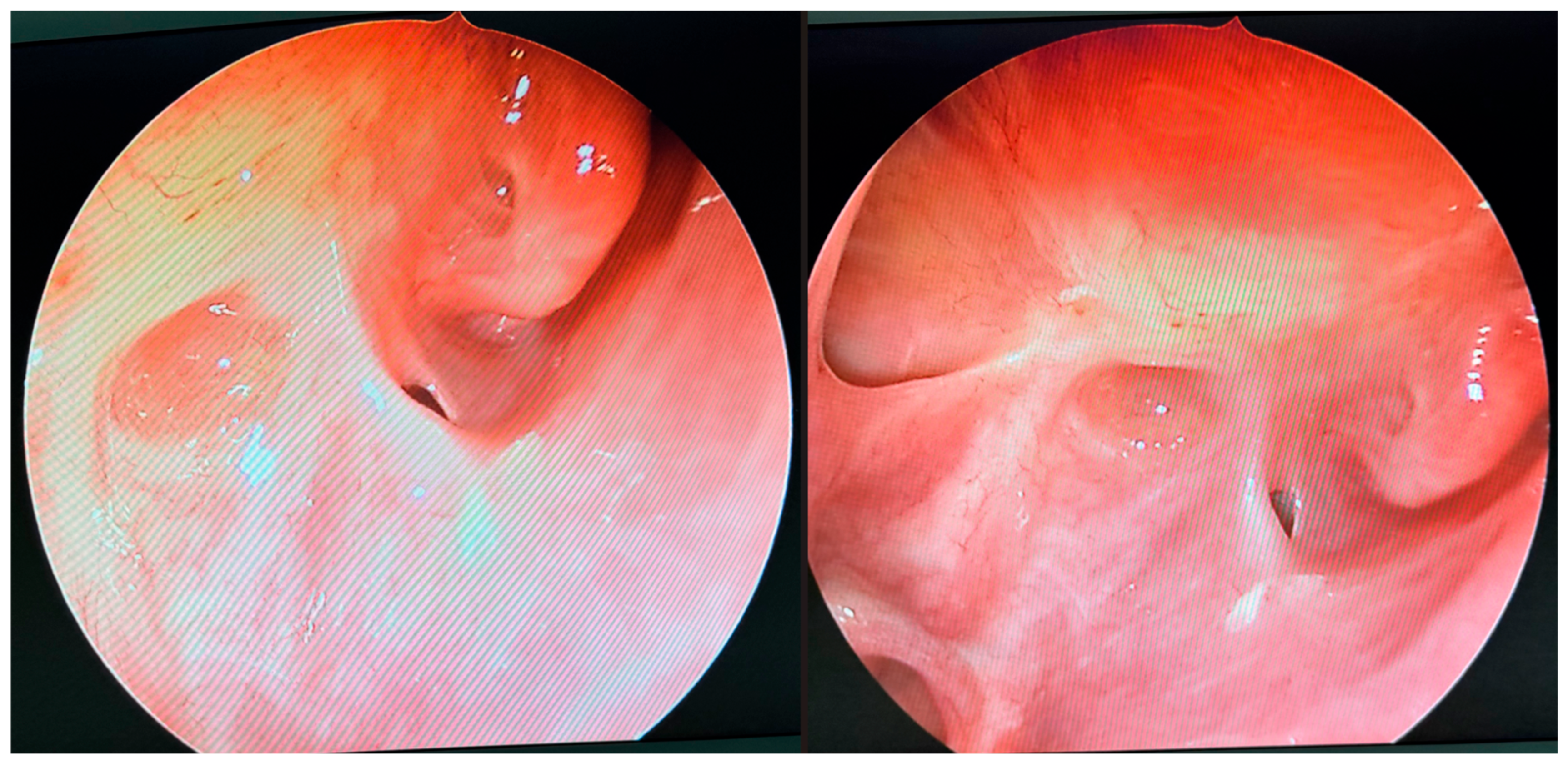 Microorganisms 13 02695 g008