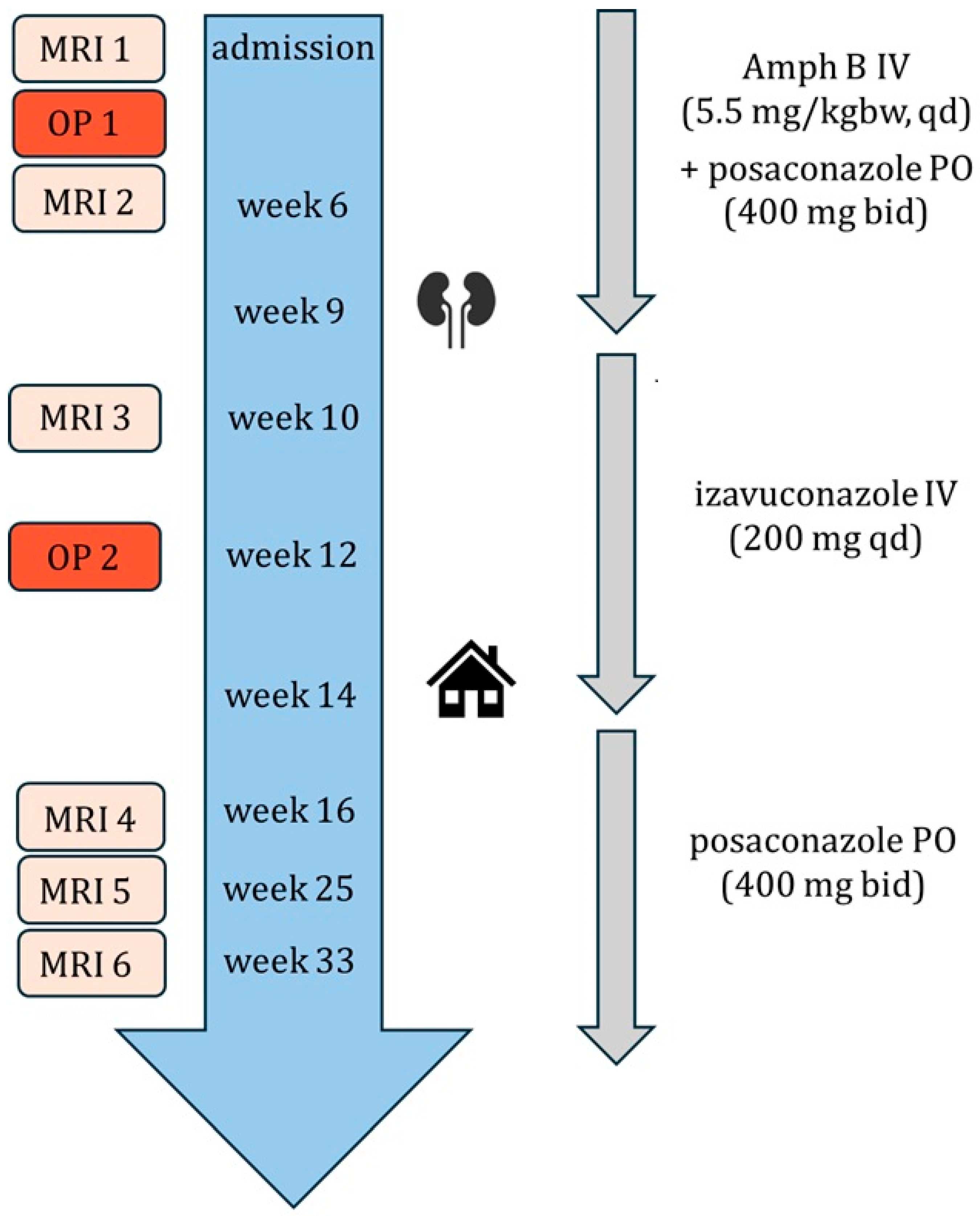 Microorganisms 13 02695 g009