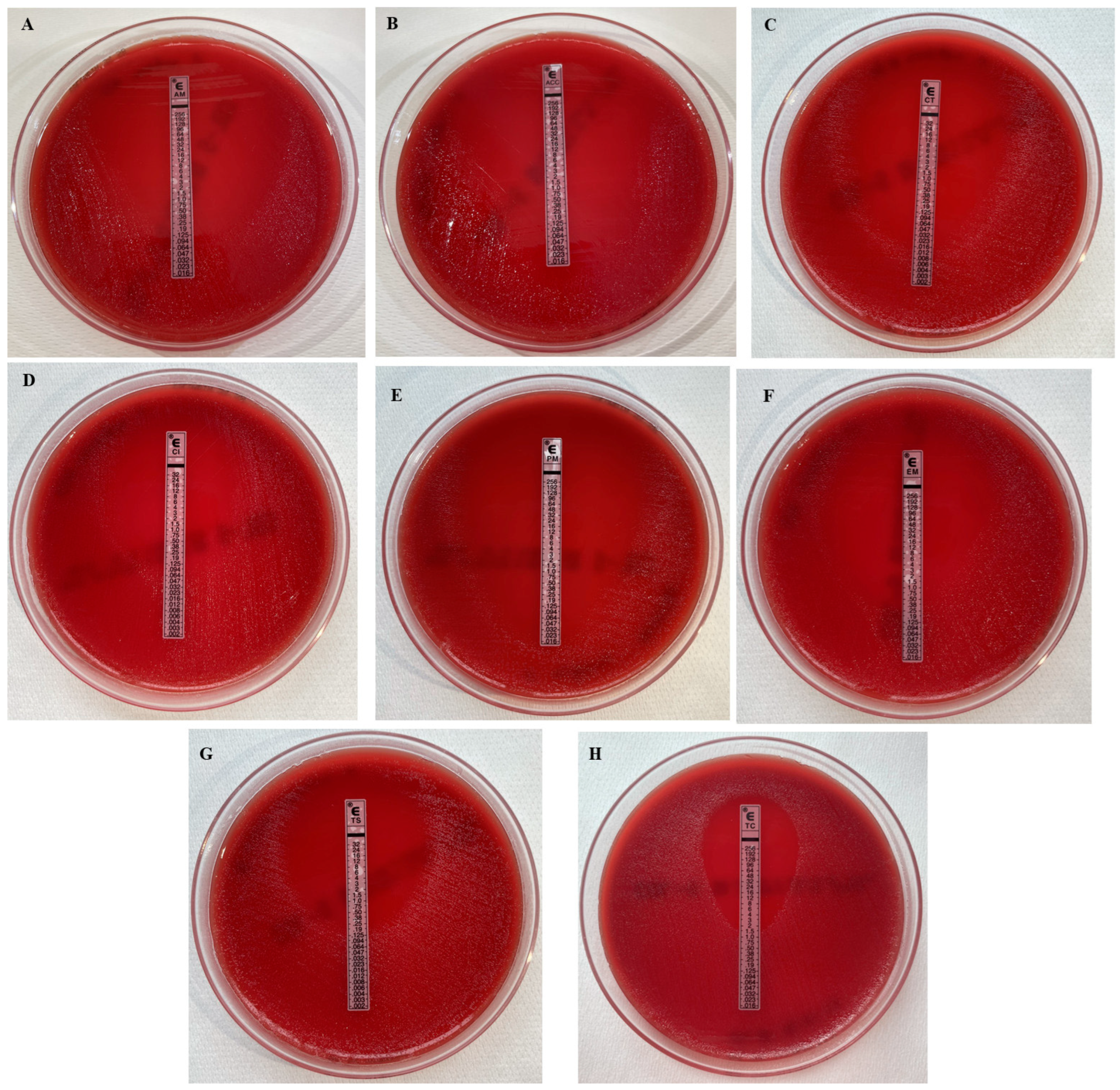 Microorganisms 13 02699 g002