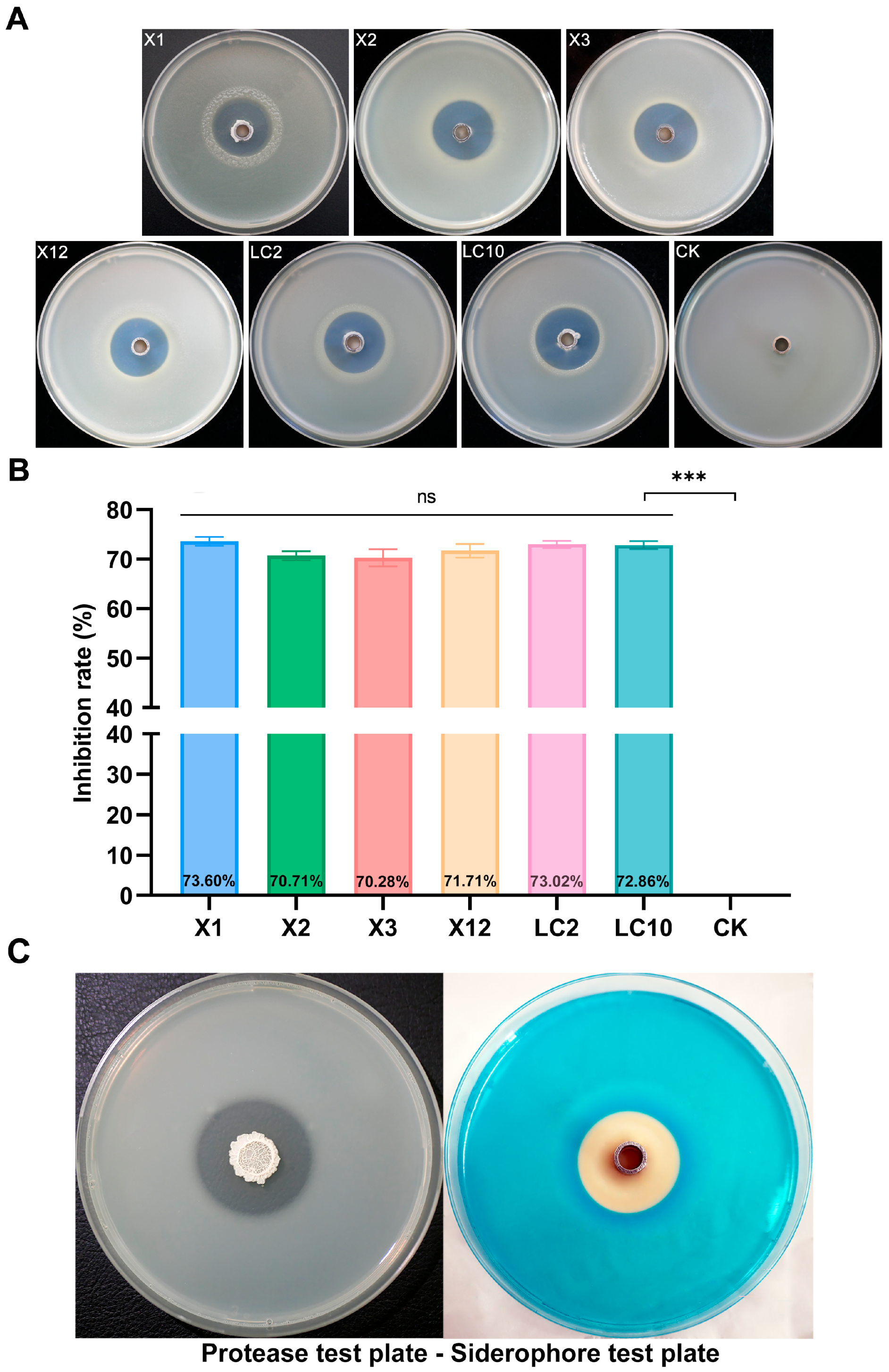 Microorganisms 13 02701 g001