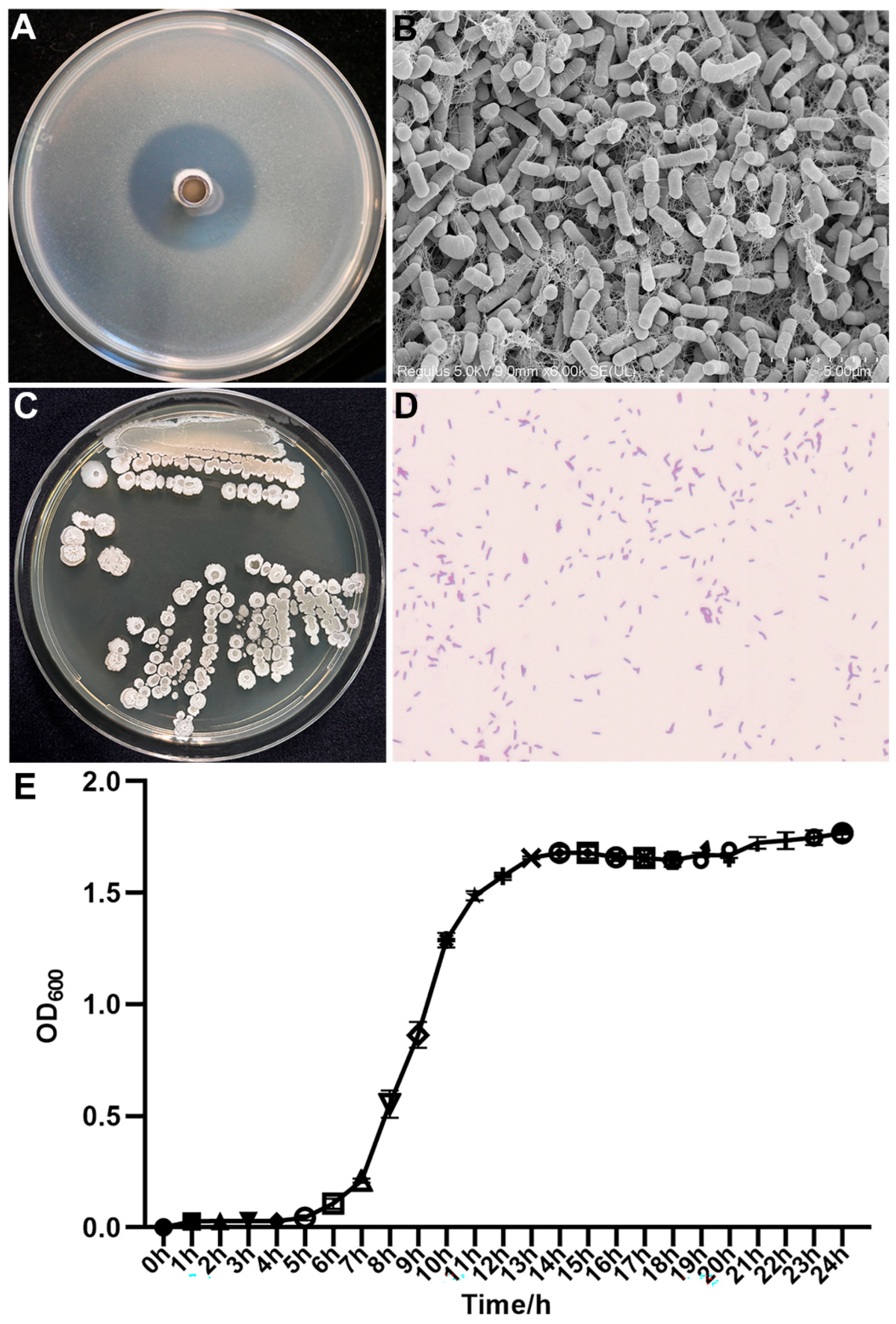 Microorganisms 13 02701 g002