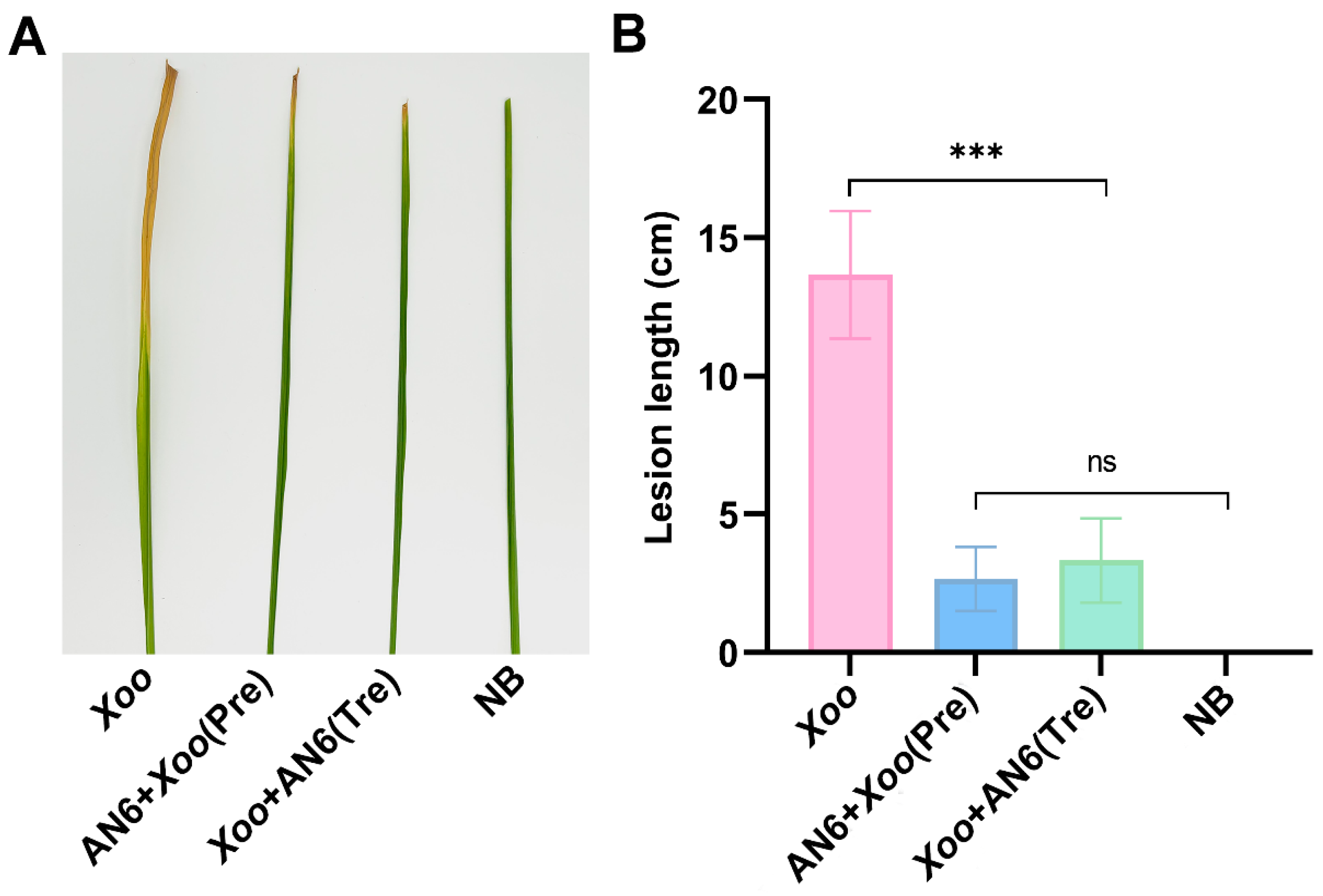 Microorganisms 13 02701 g004