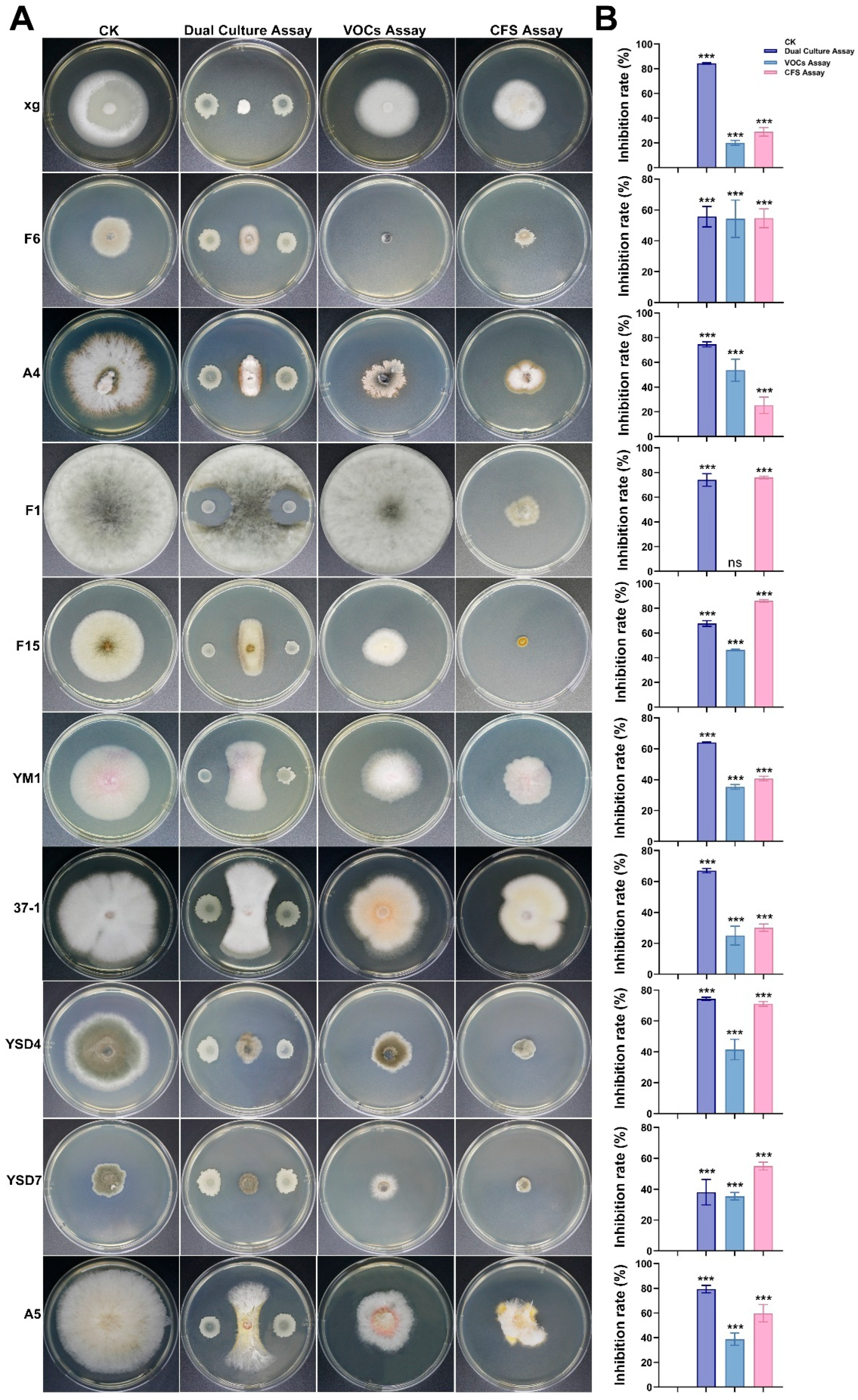 Microorganisms 13 02701 g005a