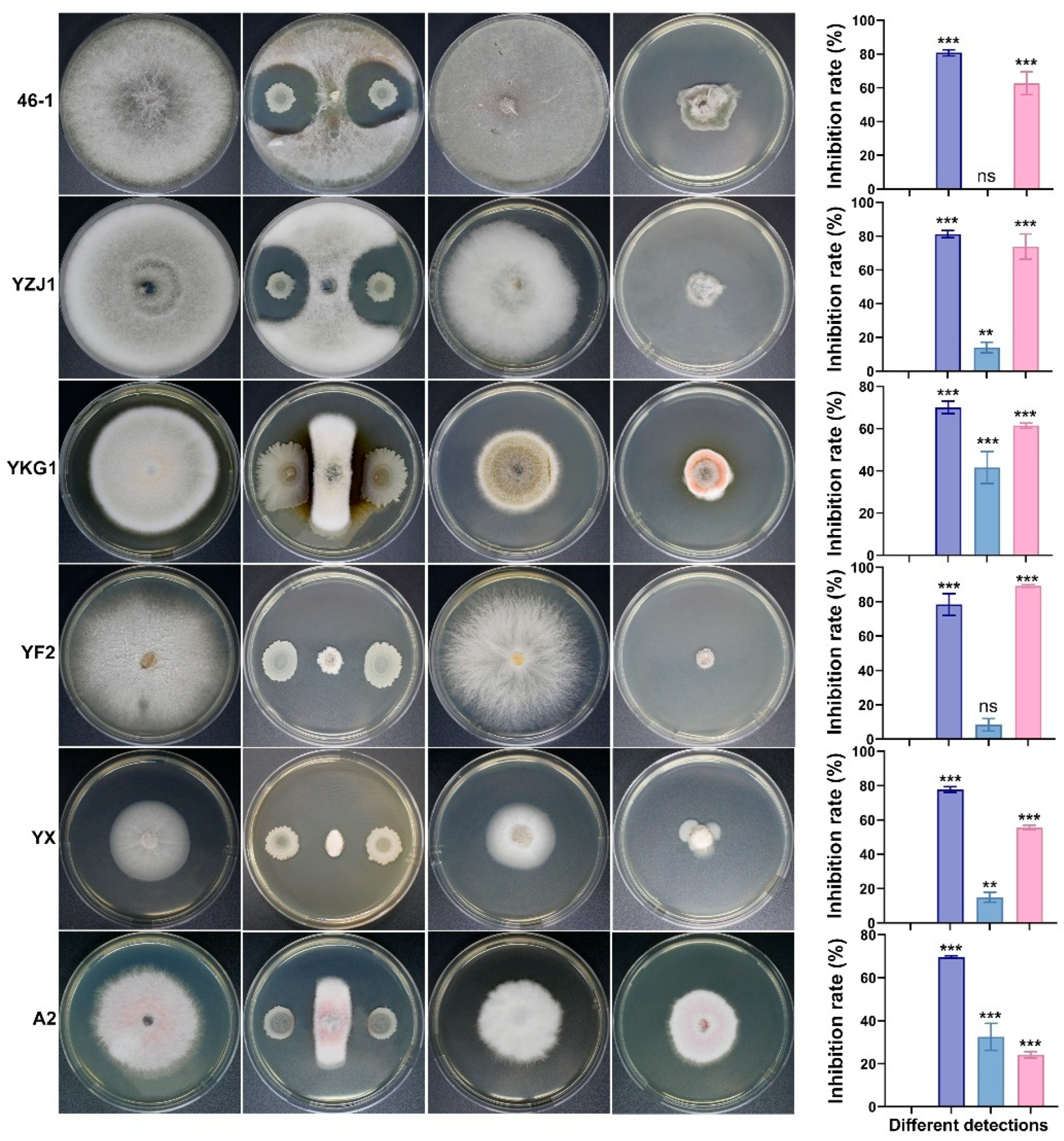 Microorganisms 13 02701 g005b
