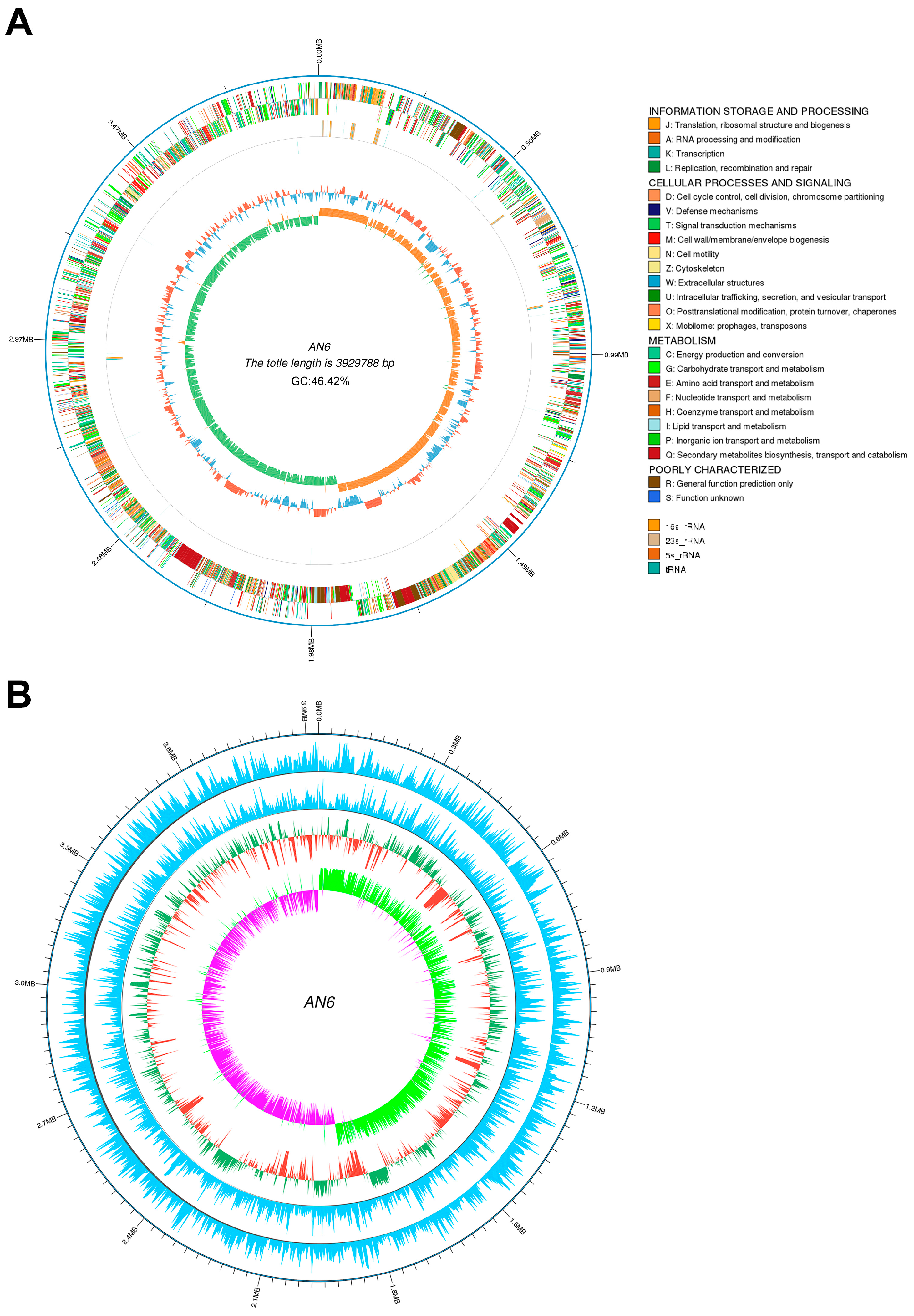 Microorganisms 13 02701 g006