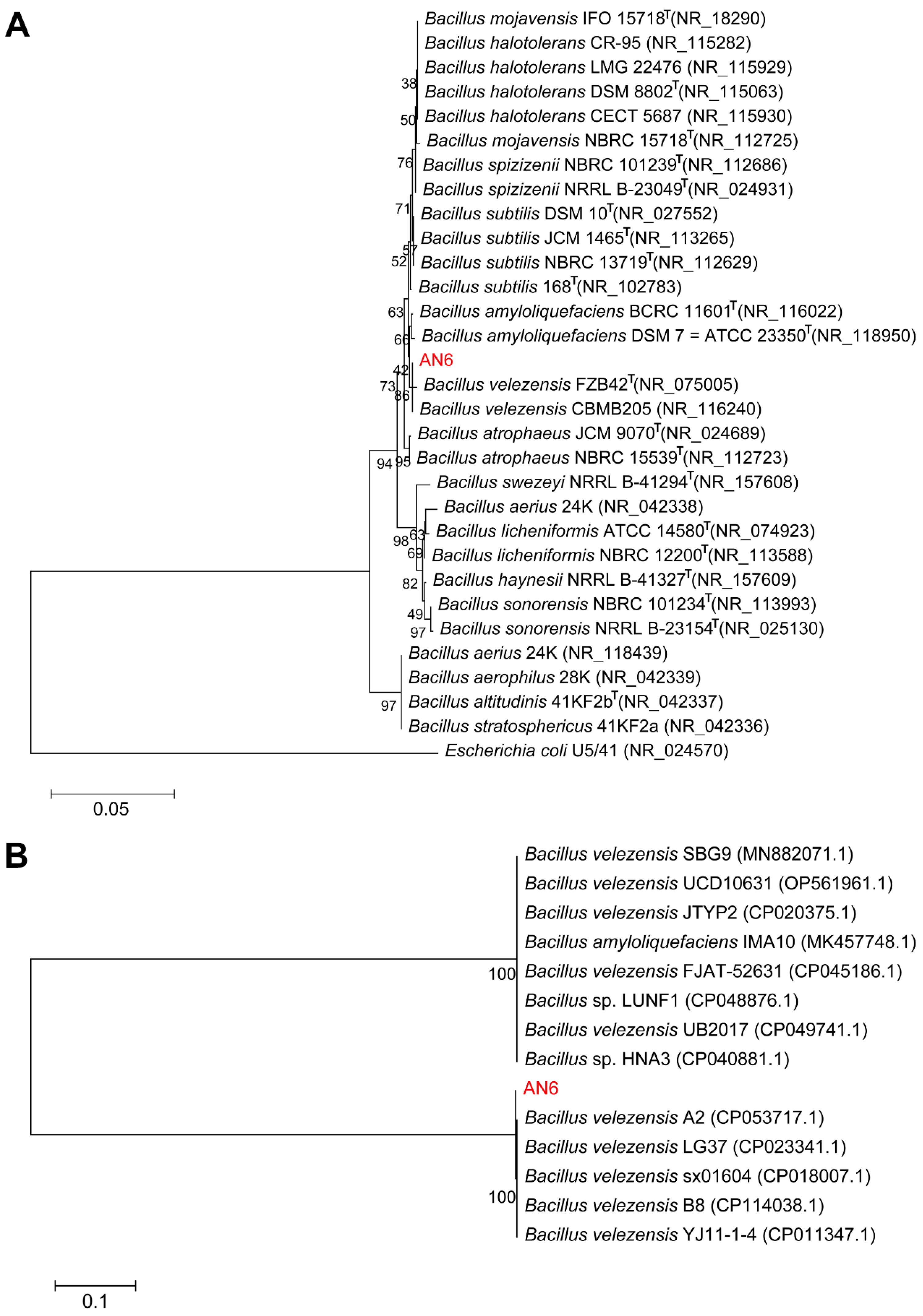 Microorganisms 13 02701 g008