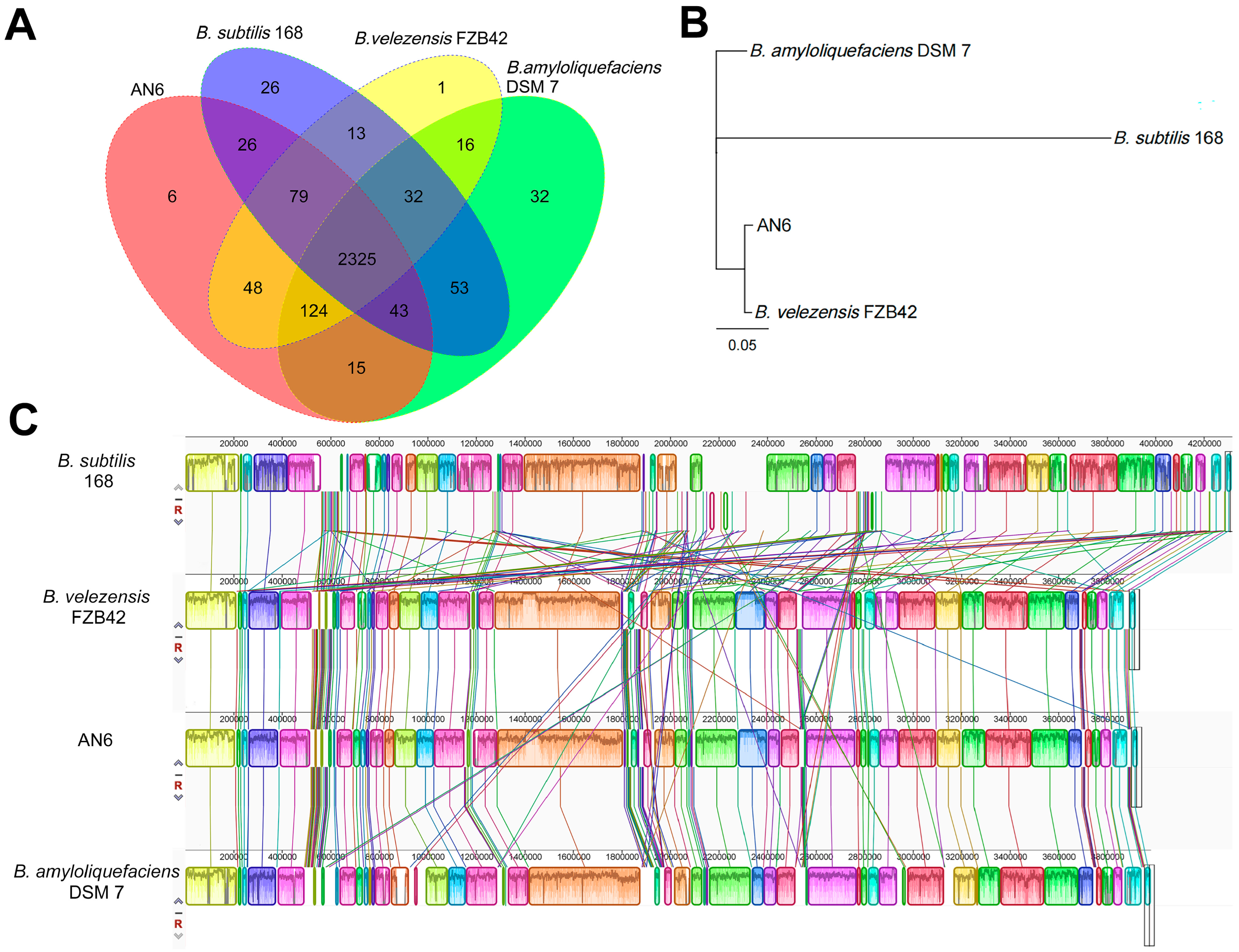 Microorganisms 13 02701 g010