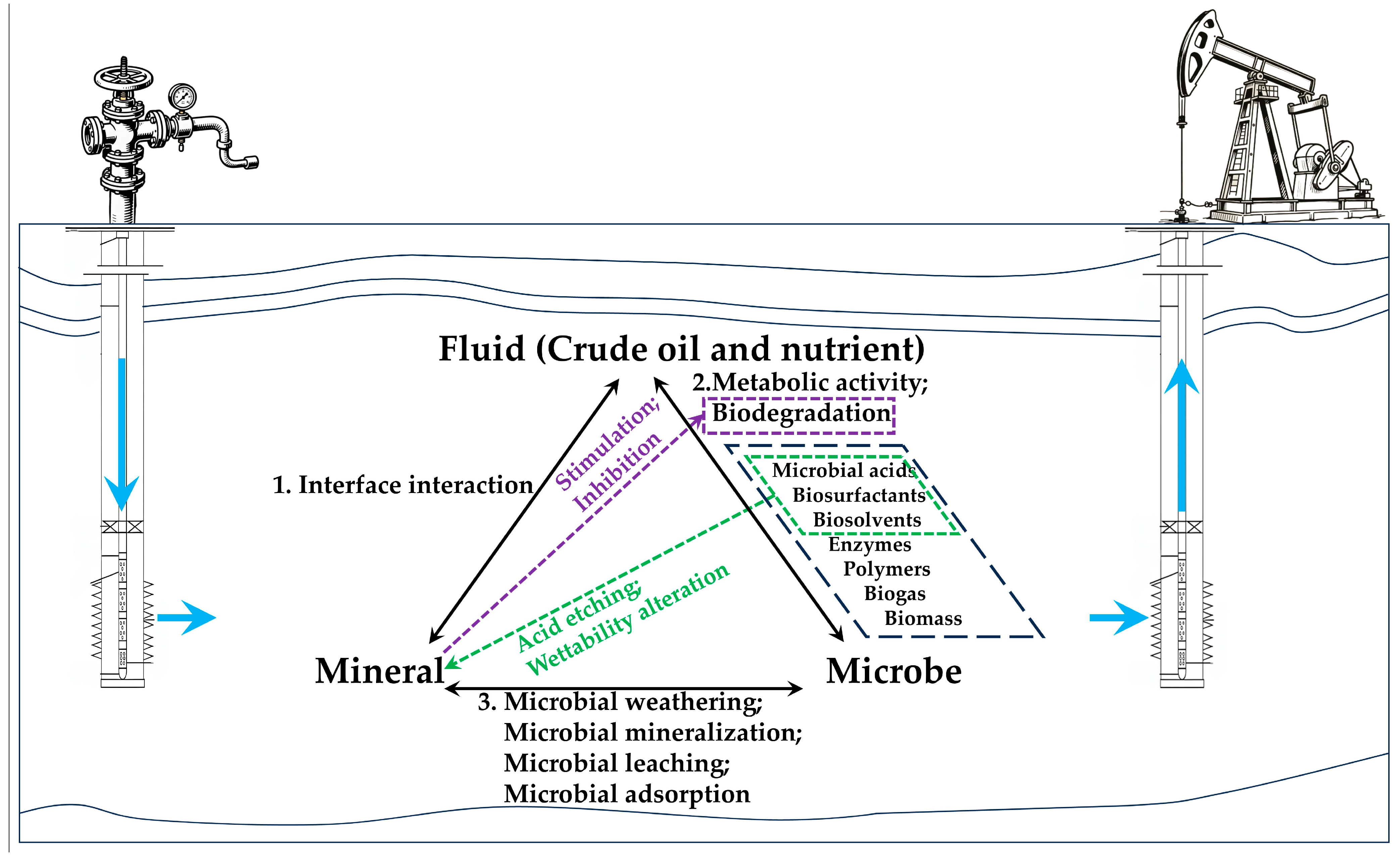 Microorganisms 13 02706 g001