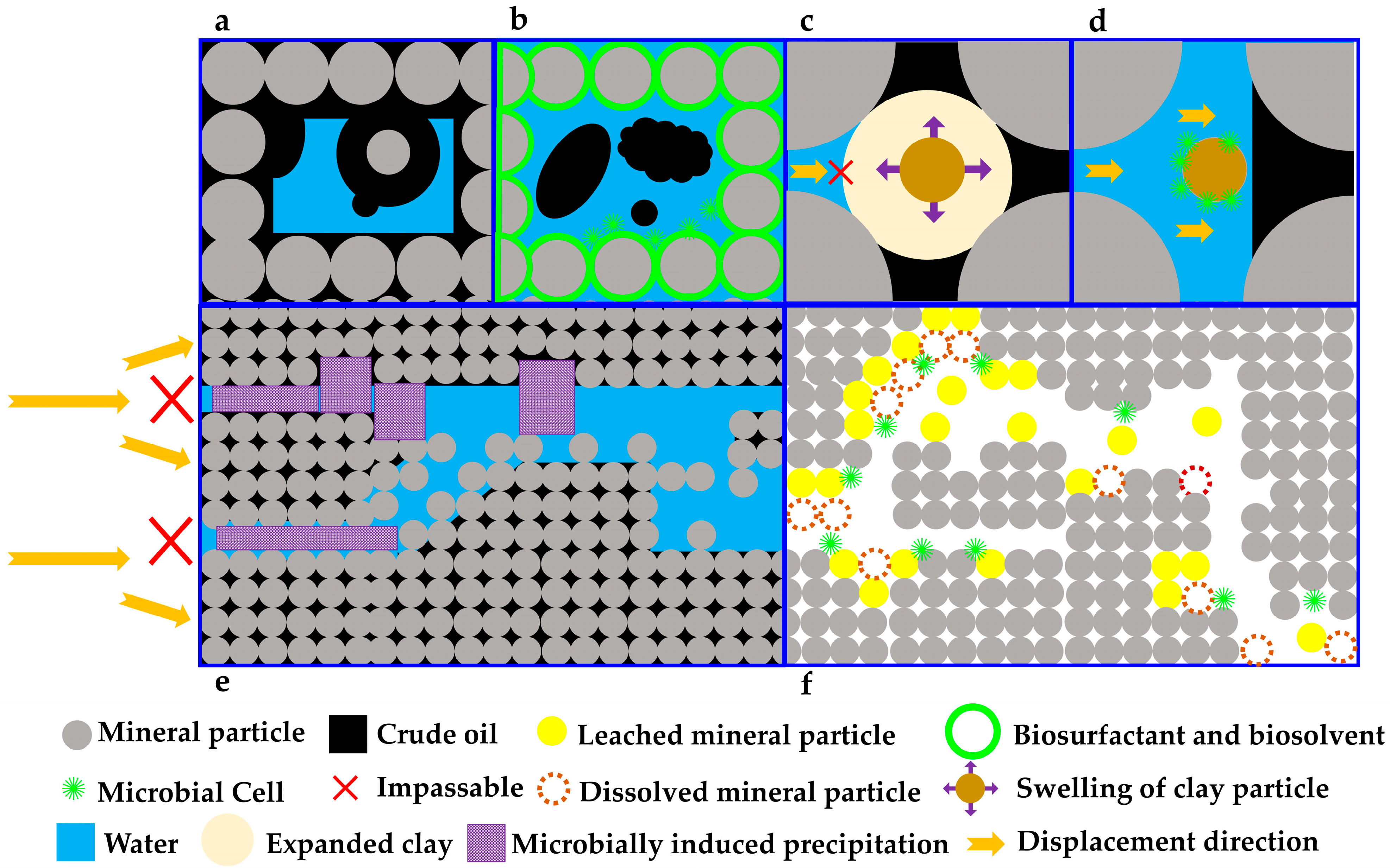Microorganisms 13 02706 g002
