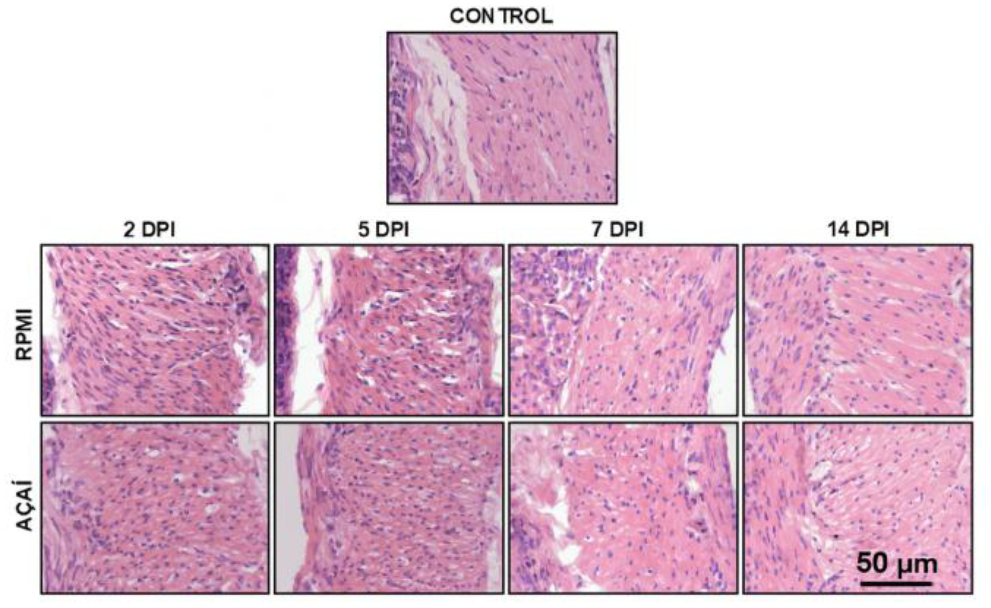 Microorganisms 13 02711 g005