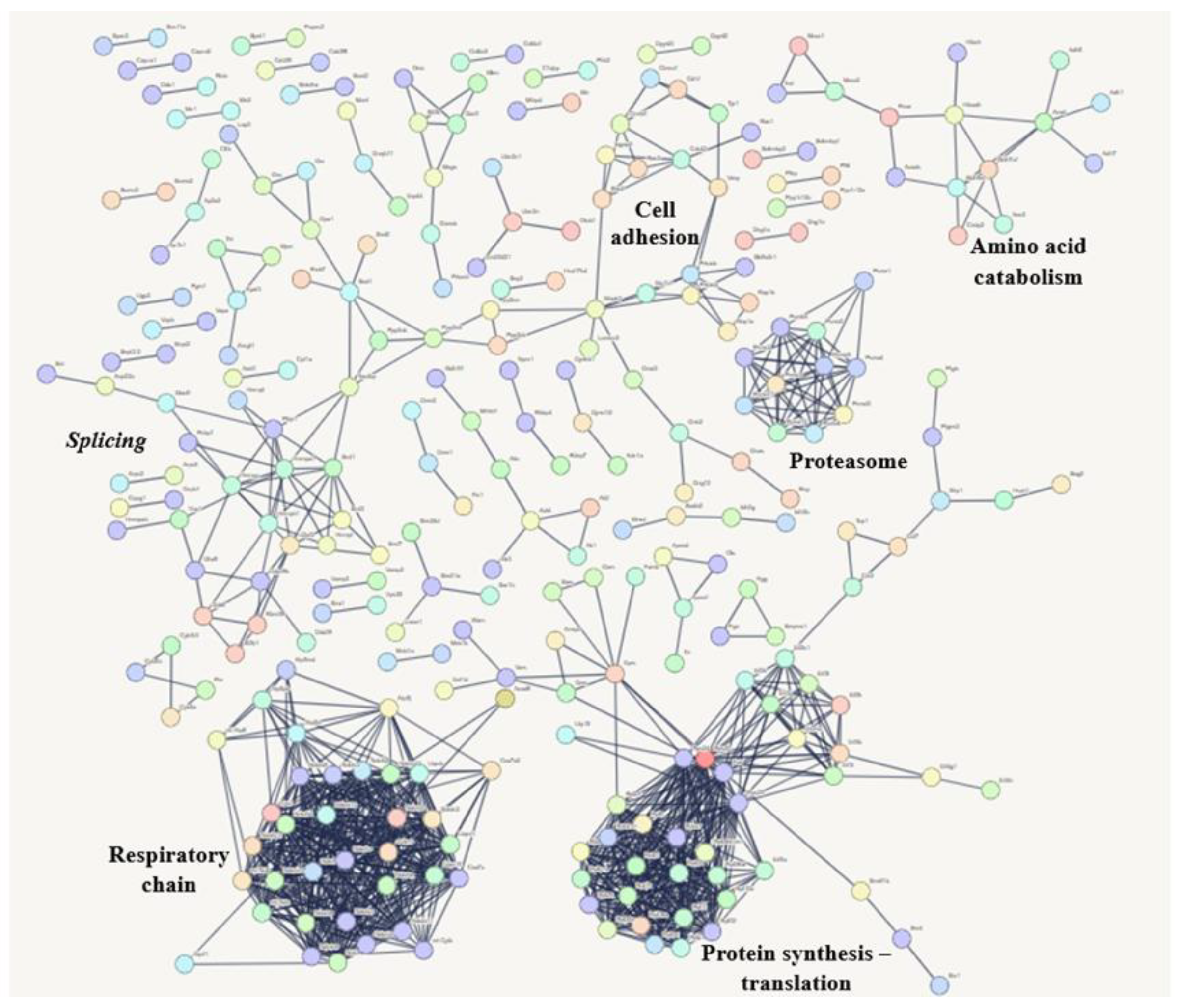 Microorganisms 13 02711 g008