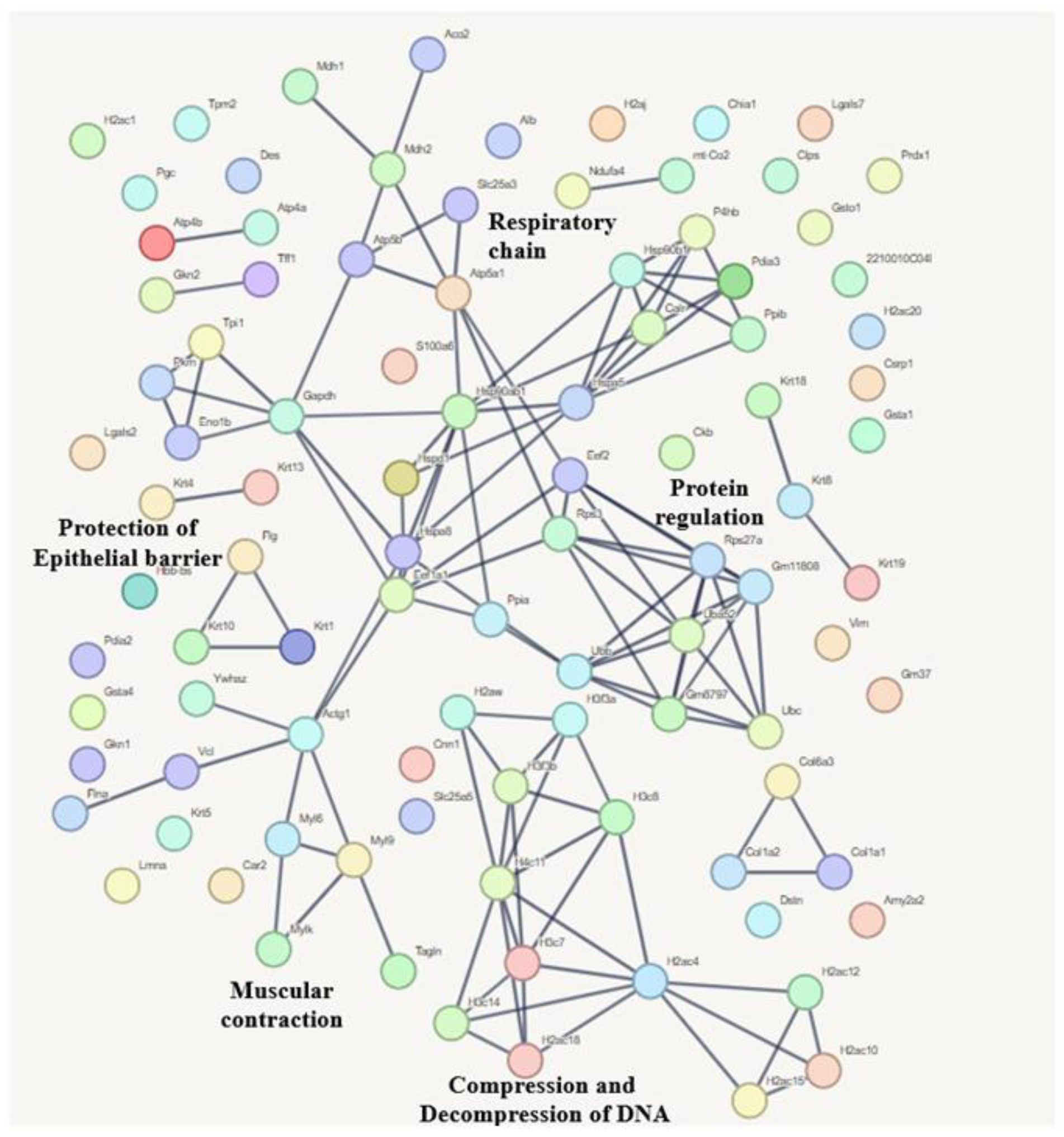 Microorganisms 13 02711 g010