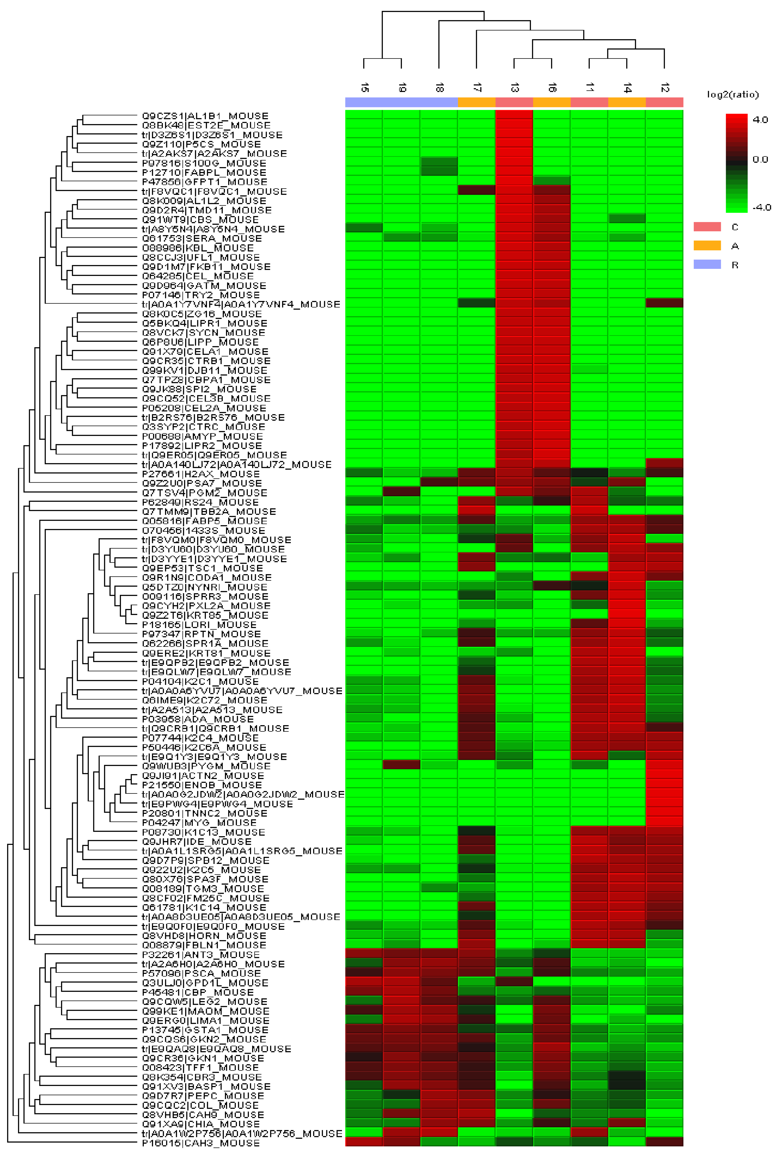 Microorganisms 13 02711 g011