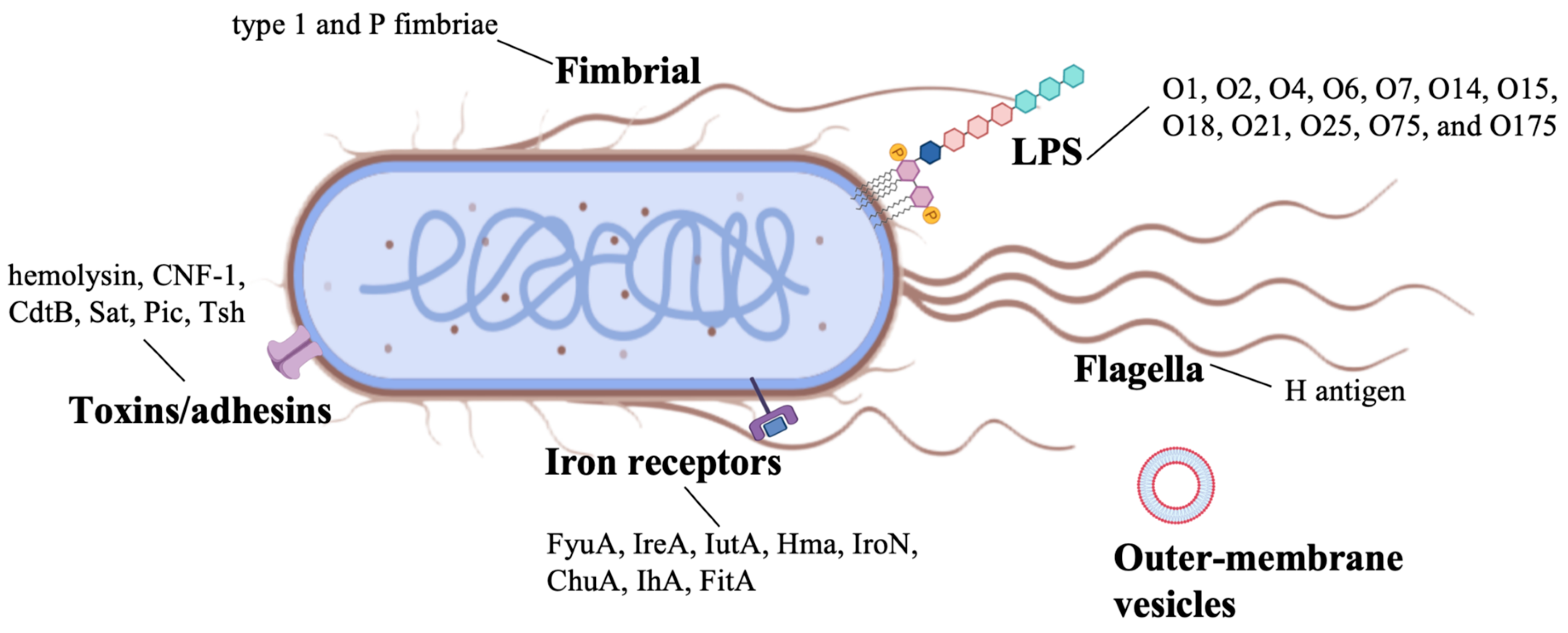 Microorganisms 13 02714 g002