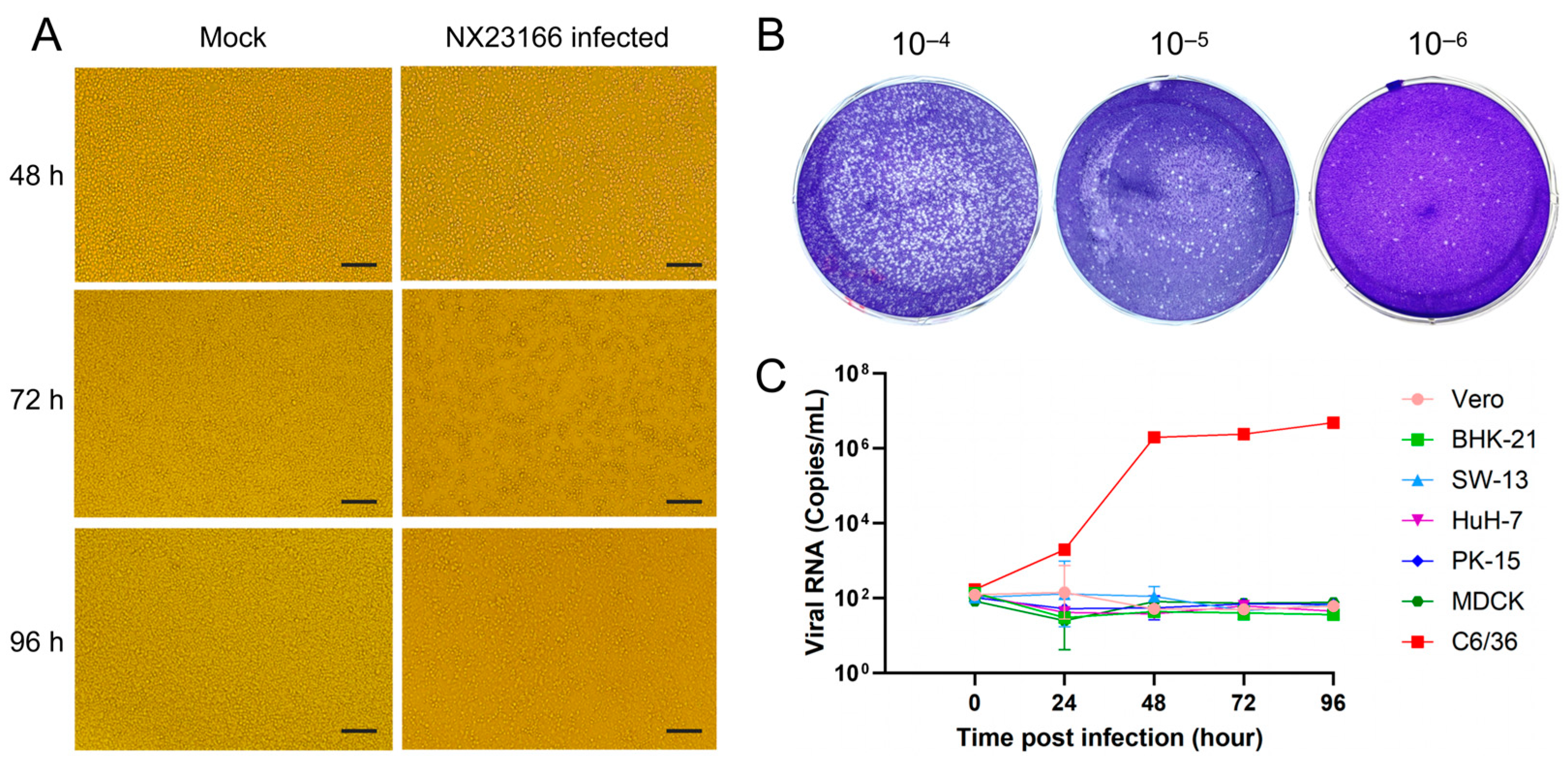 Microorganisms 13 02717 g002