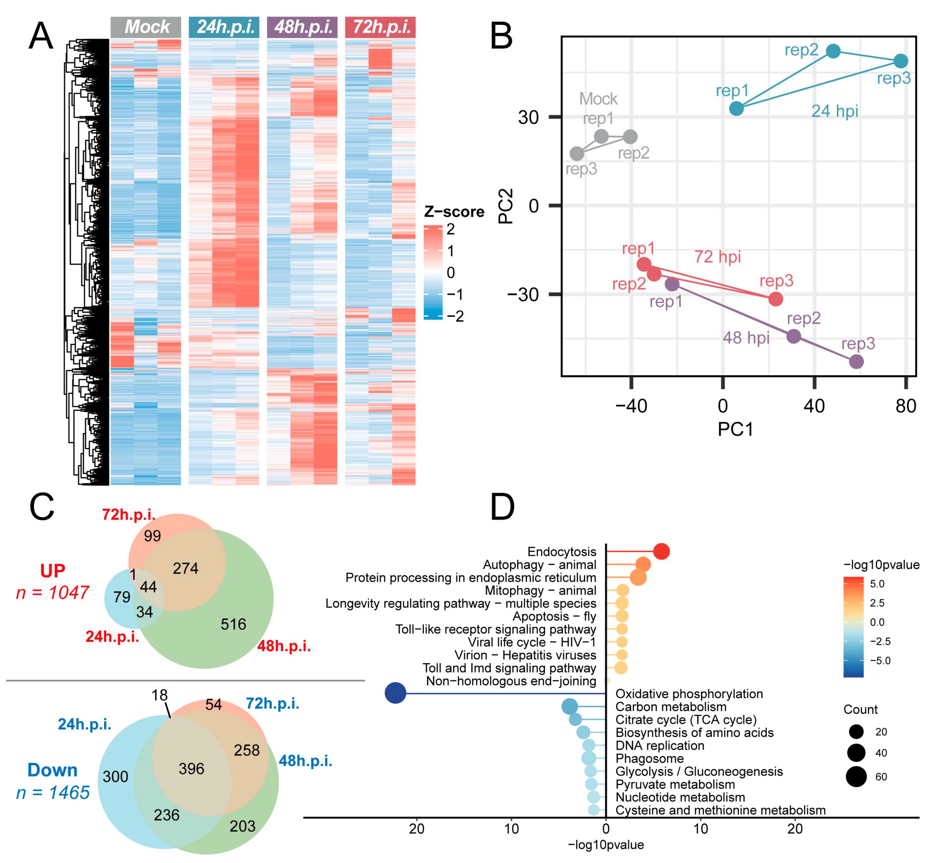 Microorganisms 13 02717 g005