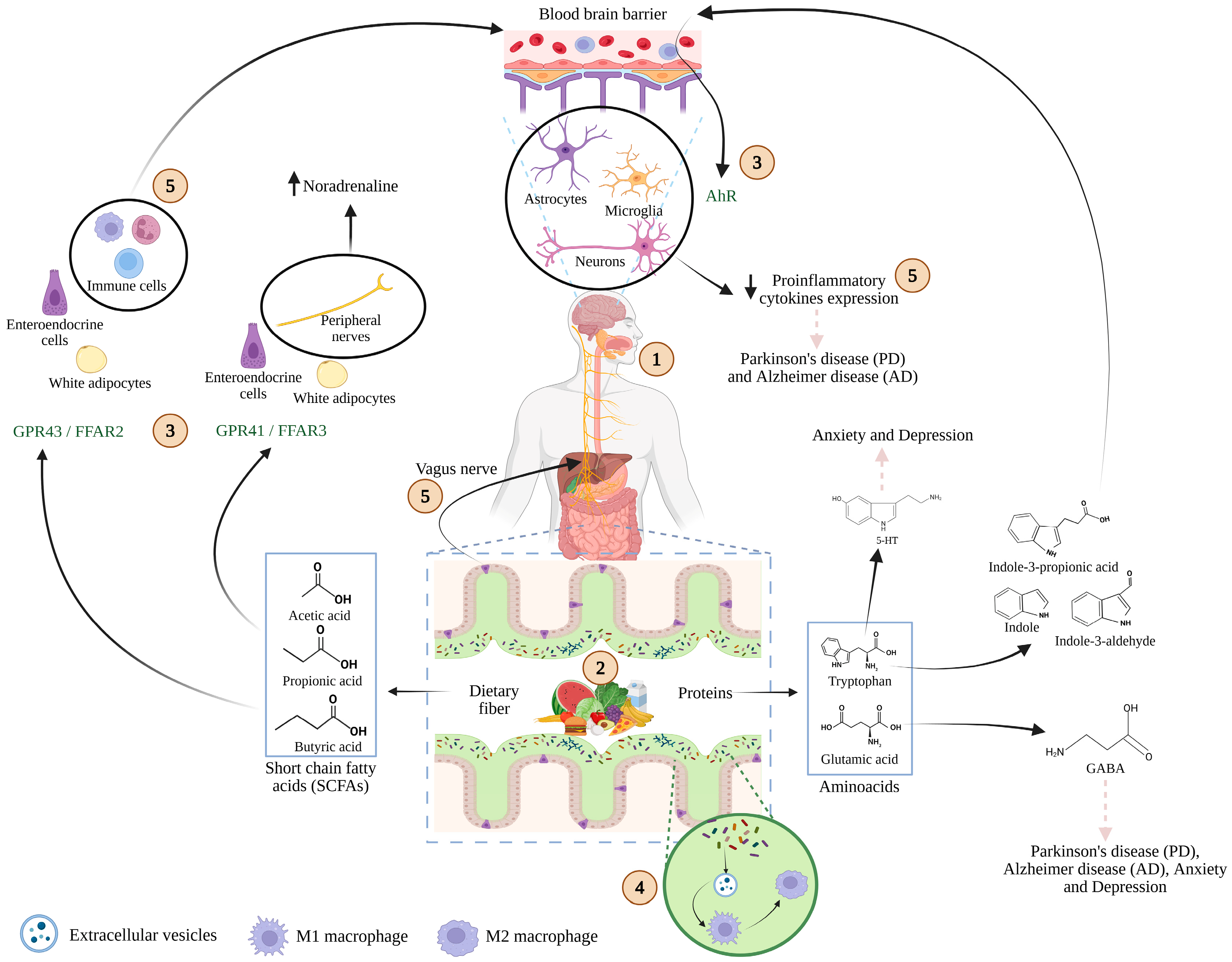 Microorganisms 13 02718 g002