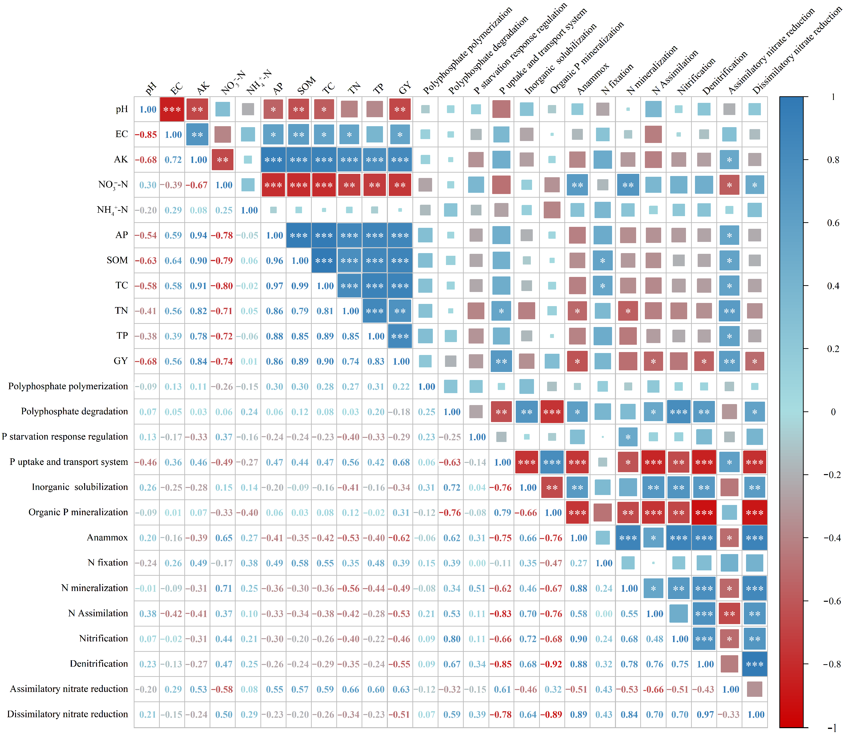 Microorganisms 13 02719 g006