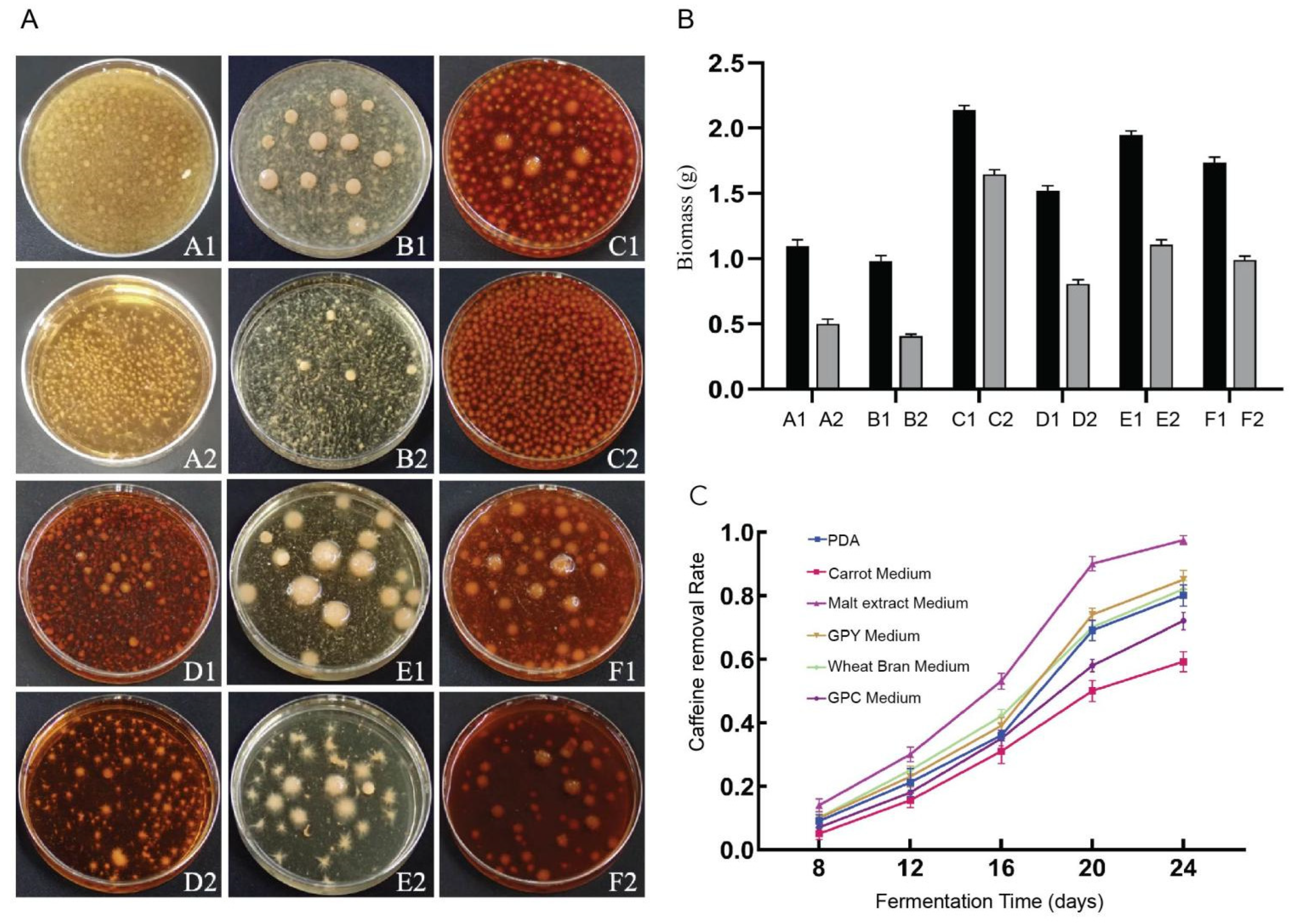 Microorganisms 13 02720 g002