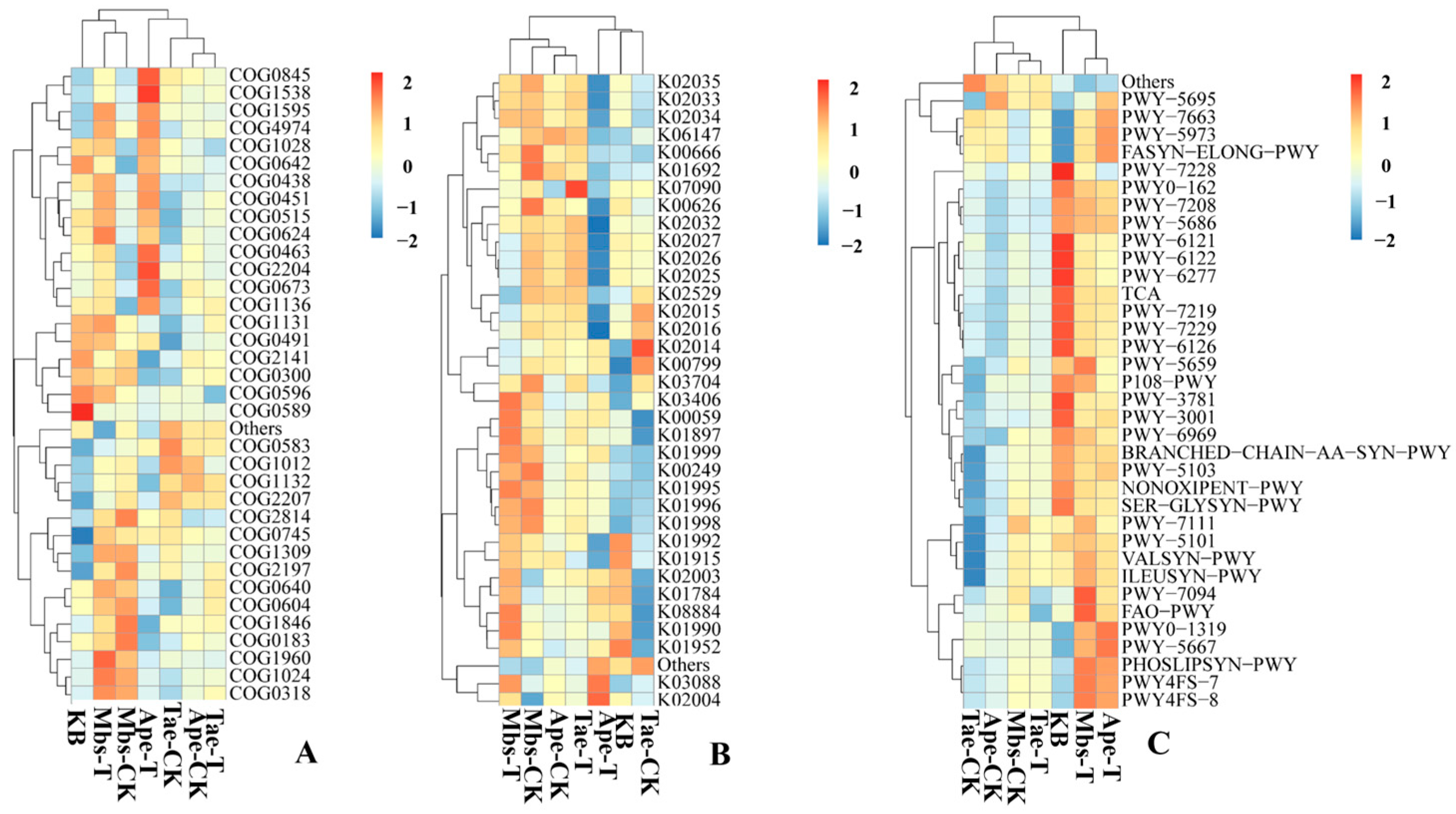 Microorganisms 13 02728 g009 Microorganisms 13 02728 g009