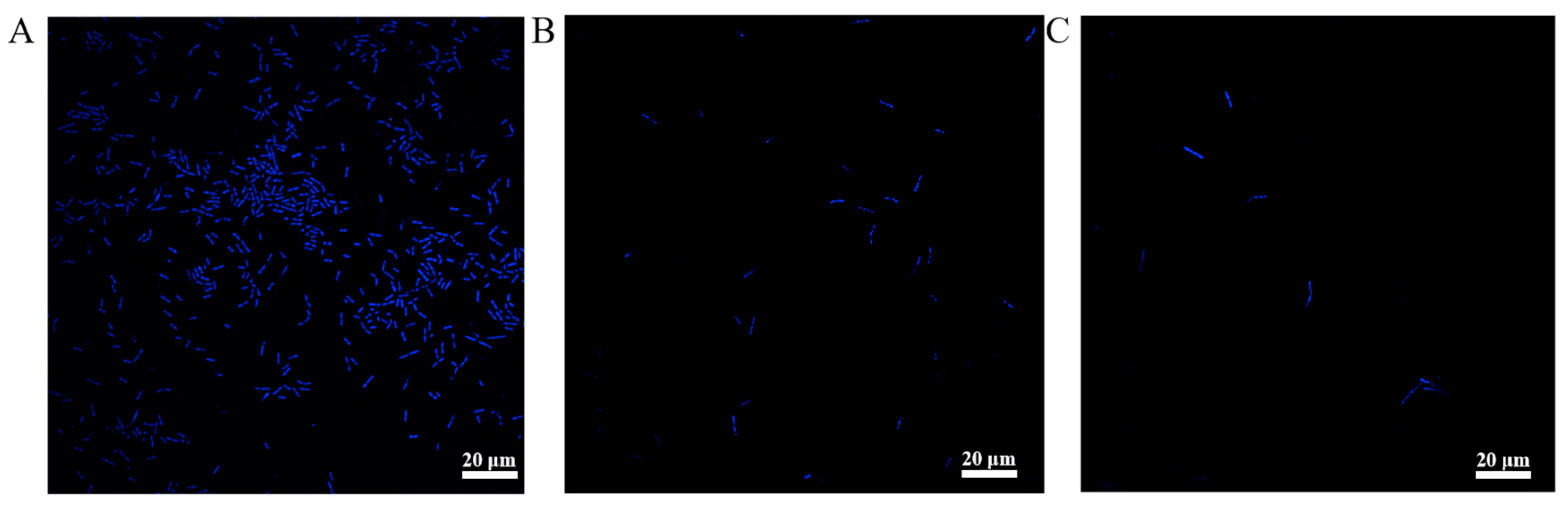 Microorganisms 13 02731 g005