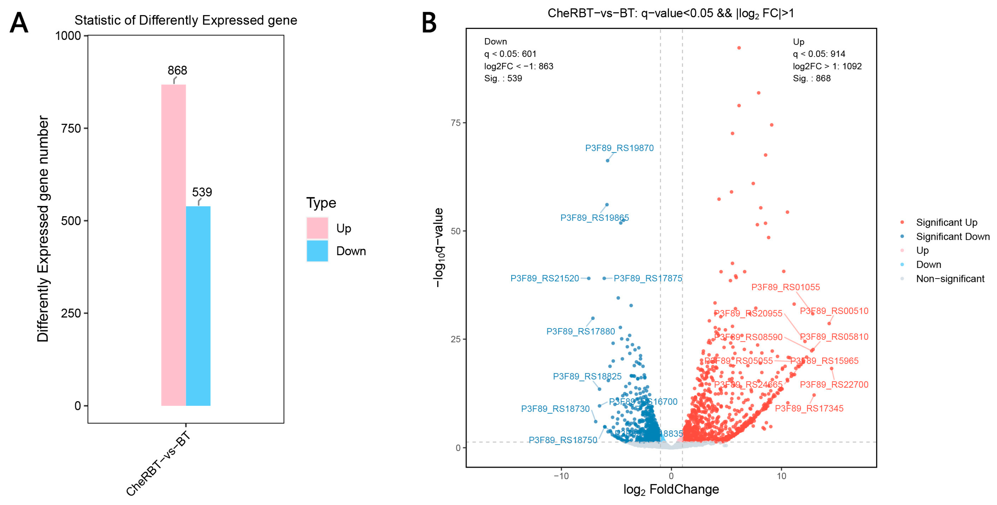 Microorganisms 13 02731 g006