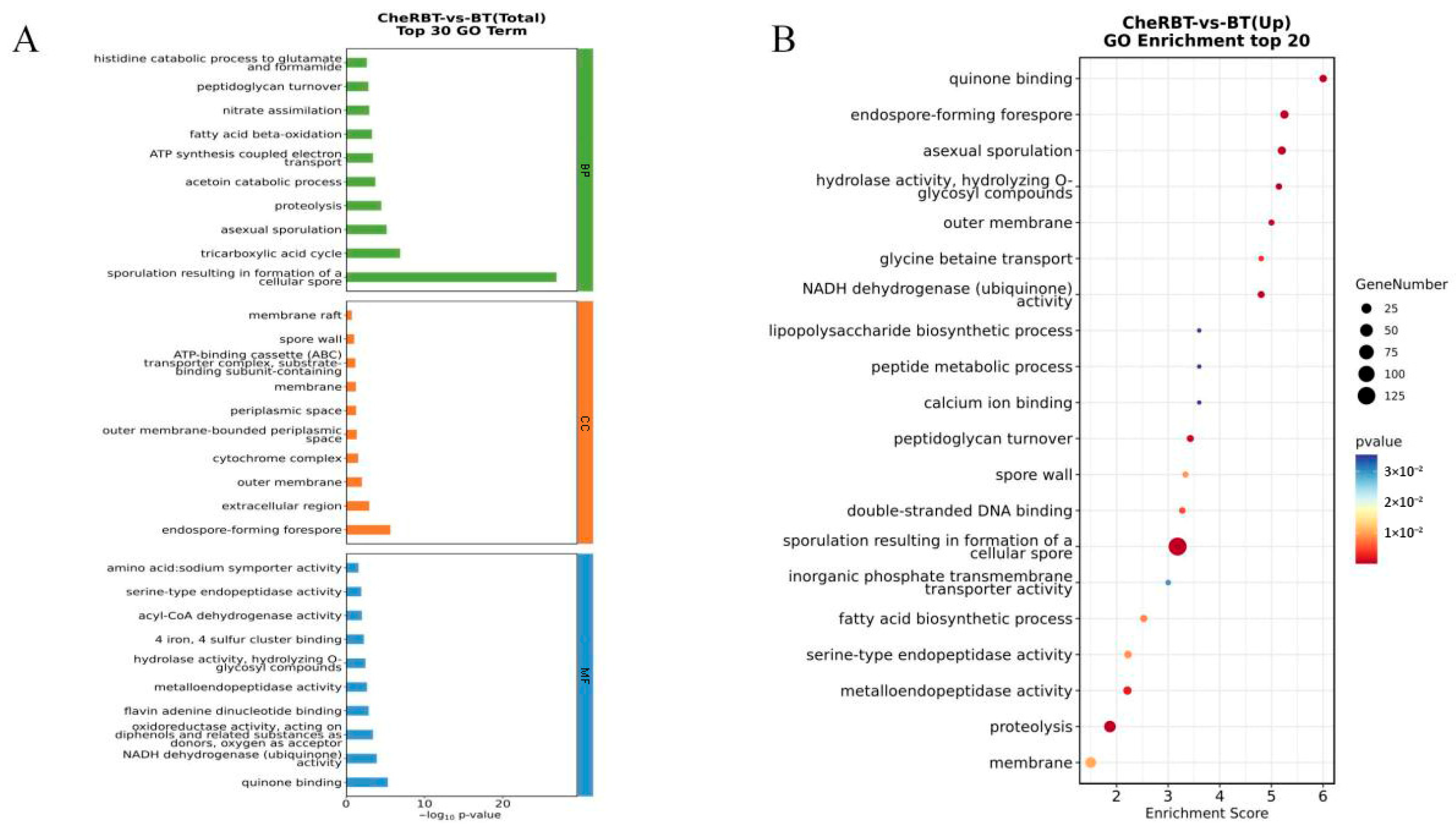 Microorganisms 13 02731 g007