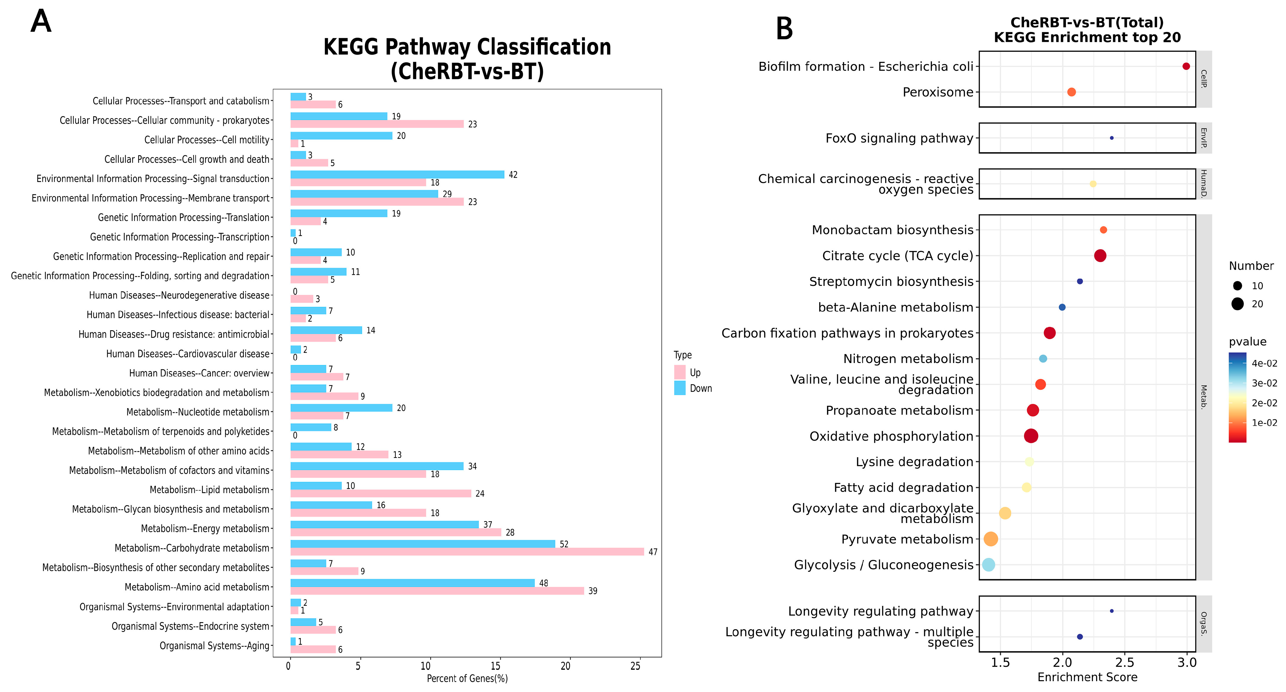 Microorganisms 13 02731 g008