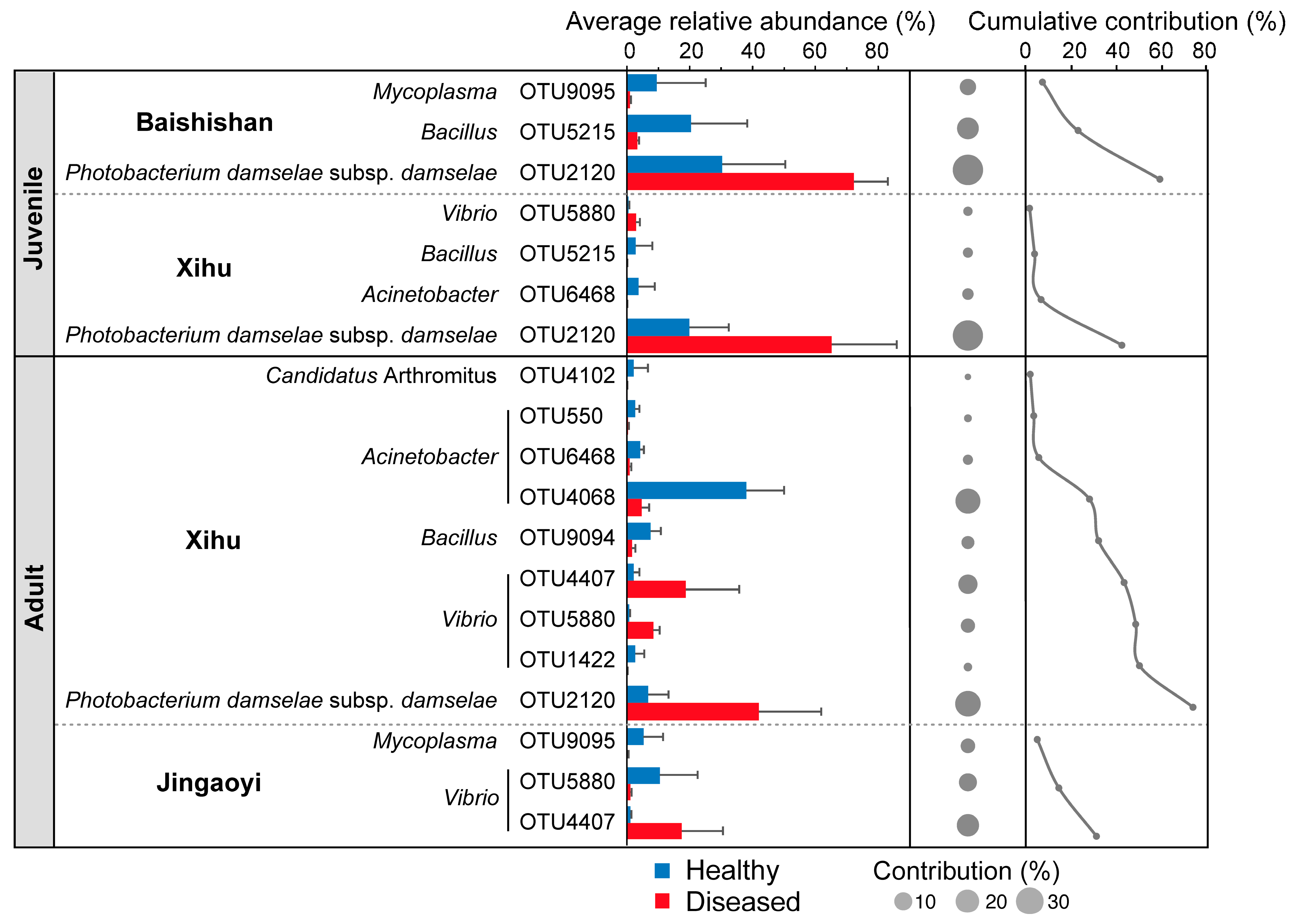 Microorganisms 13 02737 g004