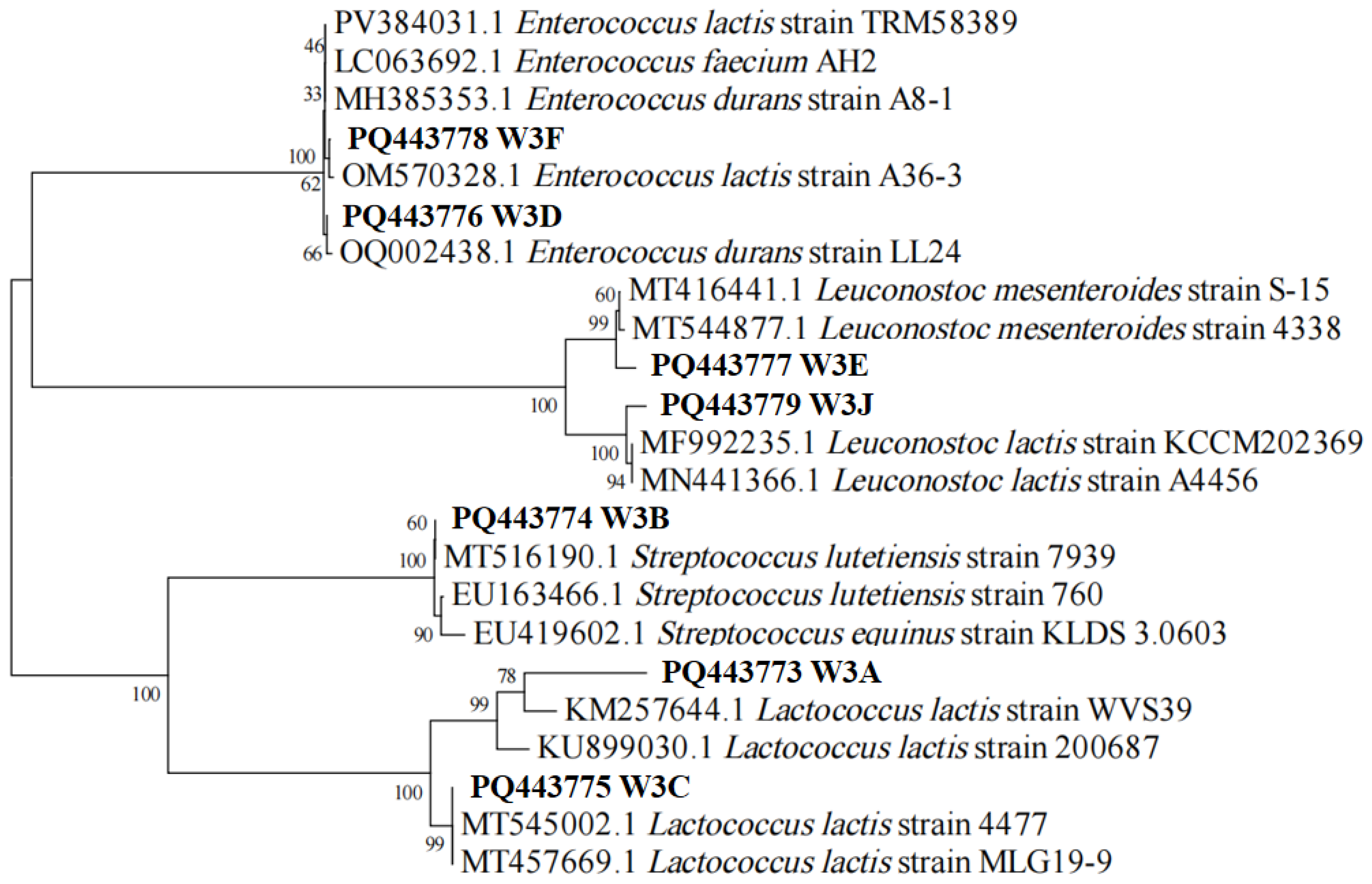 Microorganisms 13 02743 g001 Microorganisms 13 02743 g001