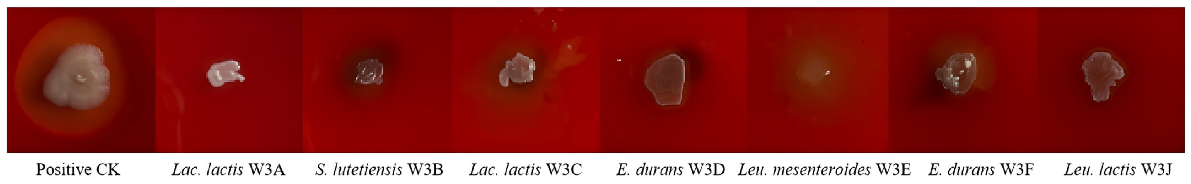 Microorganisms 13 02743 g002 Microorganisms 13 02743 g002