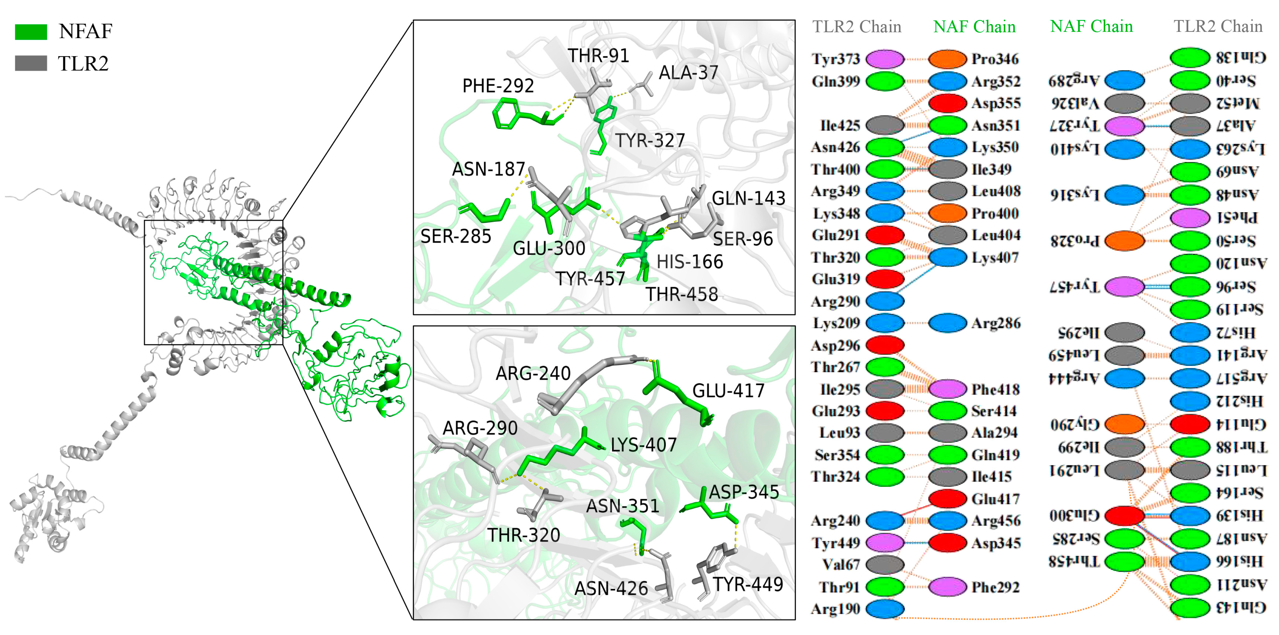 Microorganisms 13 02744 g004