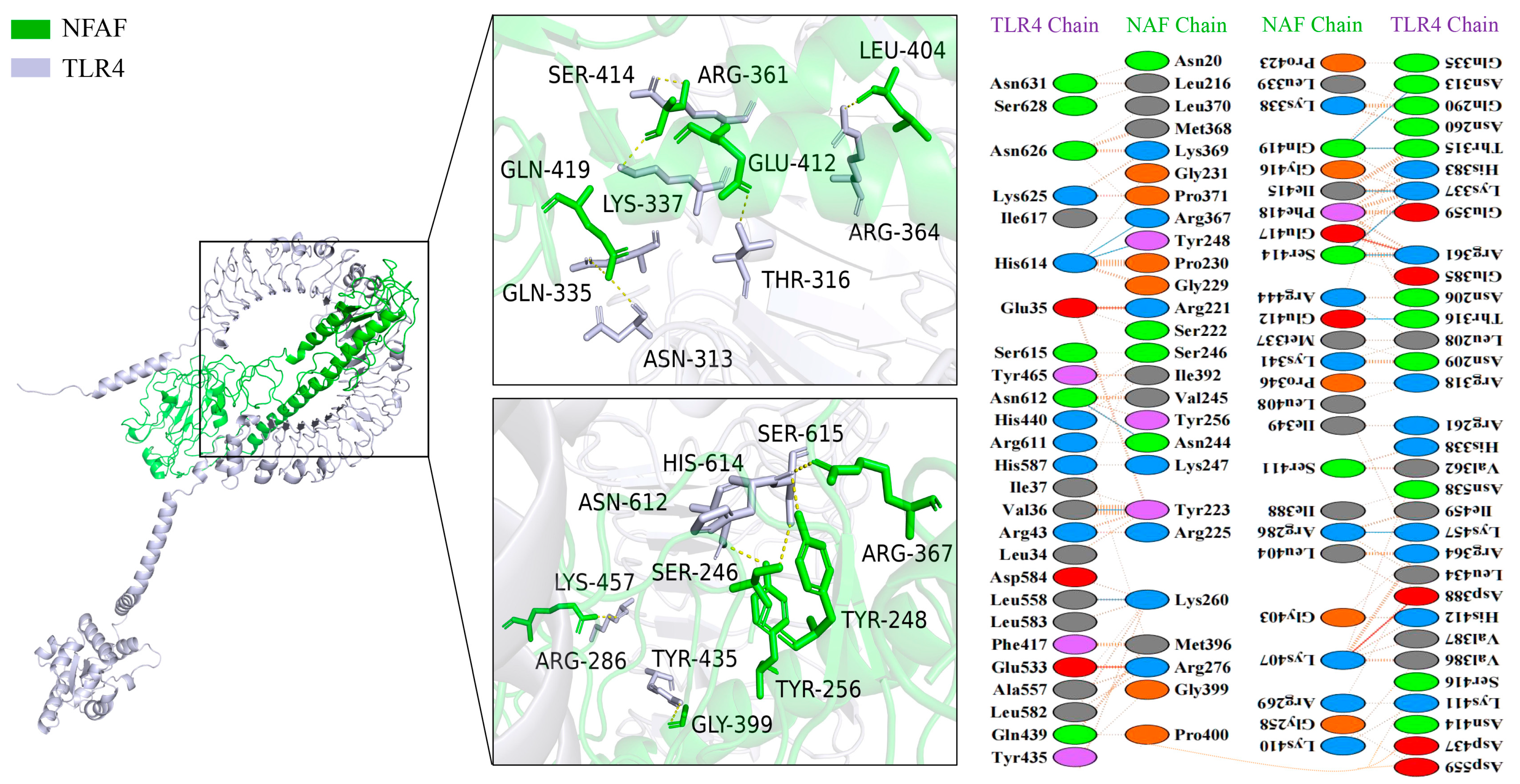 Microorganisms 13 02744 g005
