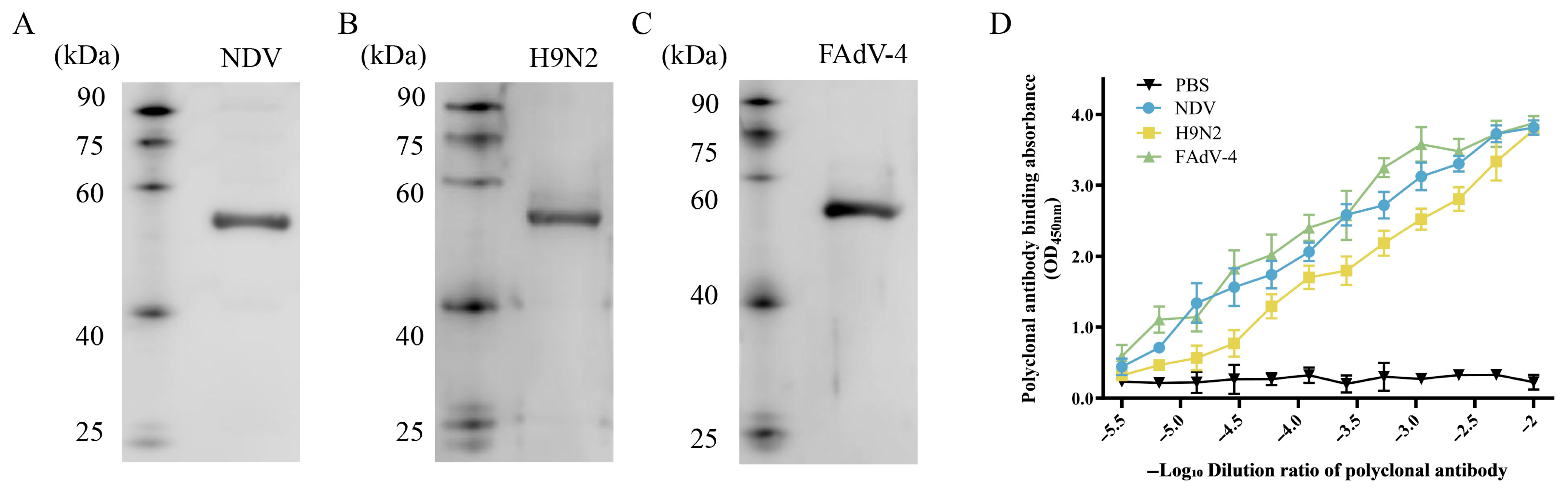 Microorganisms 13 02744 g008