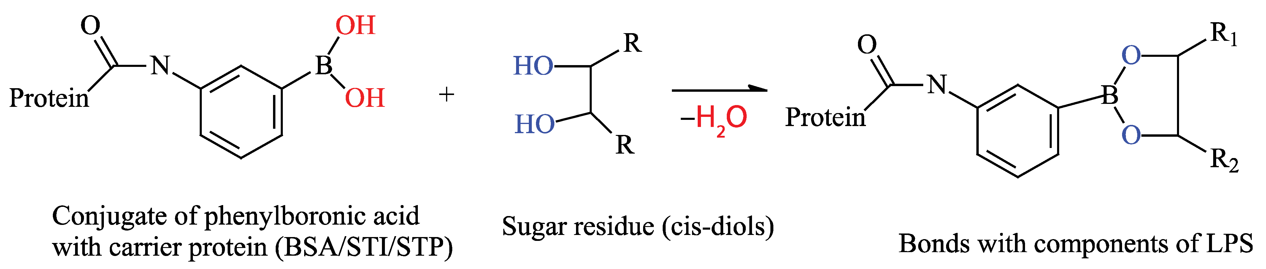 Microorganisms 13 02745 g001 Microorganisms 13 02745 g001