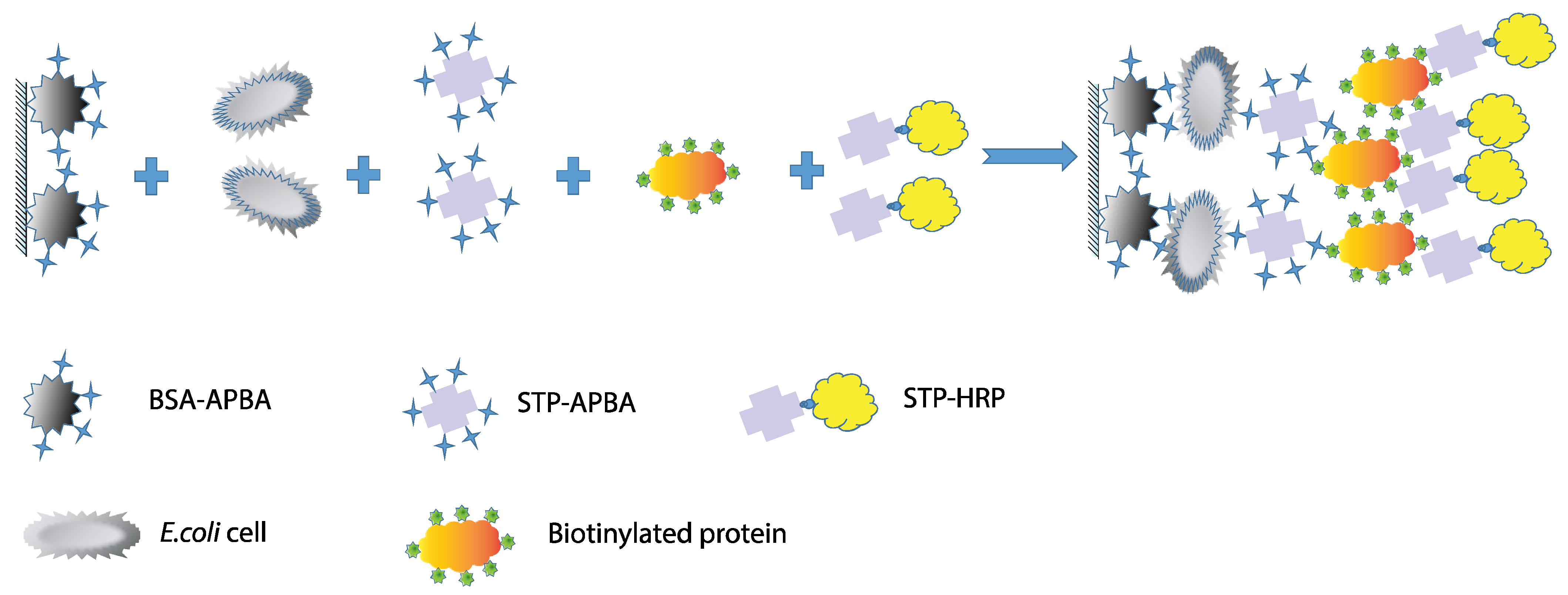 Microorganisms 13 02745 g002 Microorganisms 13 02745 g002
